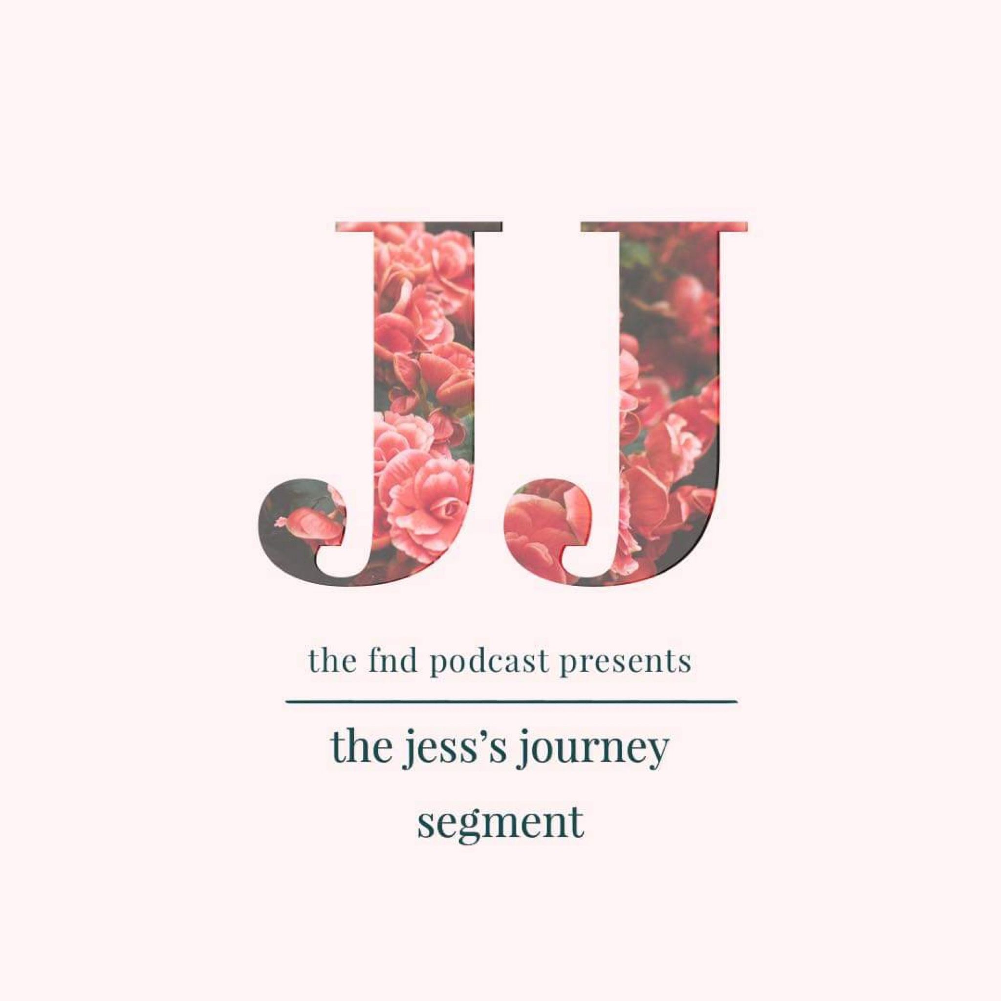The JJSegment : Working with FND and writing a book : The FND Podcast