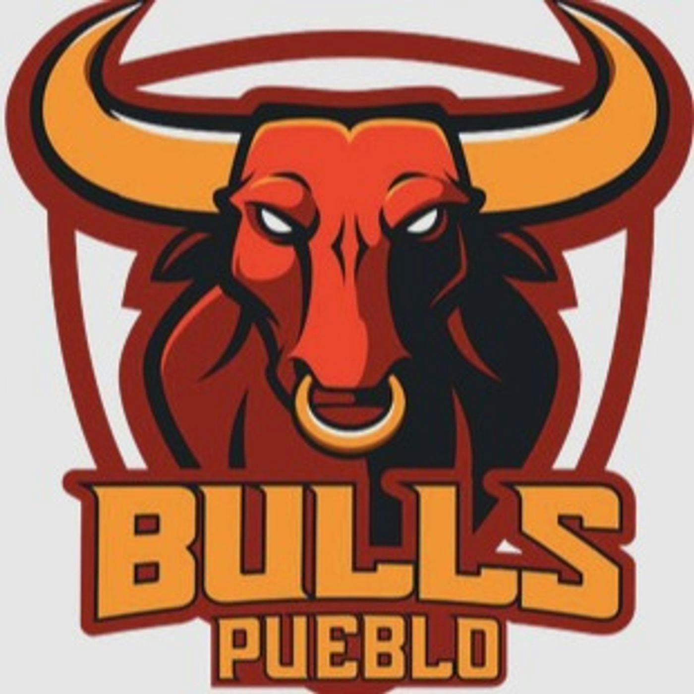 Pigeonhole Hockey #160: Sunday Morning Coffee Series With Michelle Wells: Pueblo Bulls episode artwork