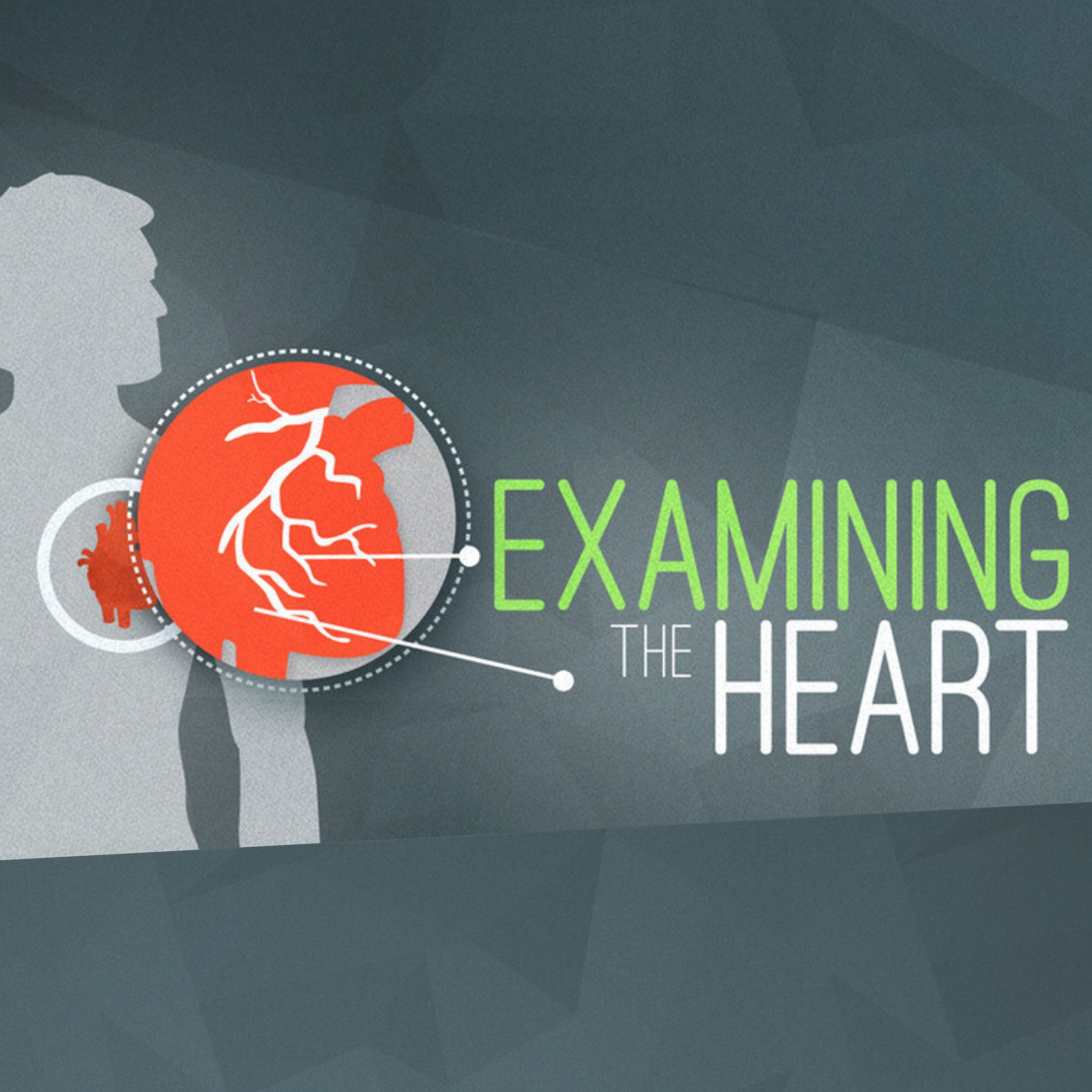 Examining the Heart - Part 2 episode artwork
