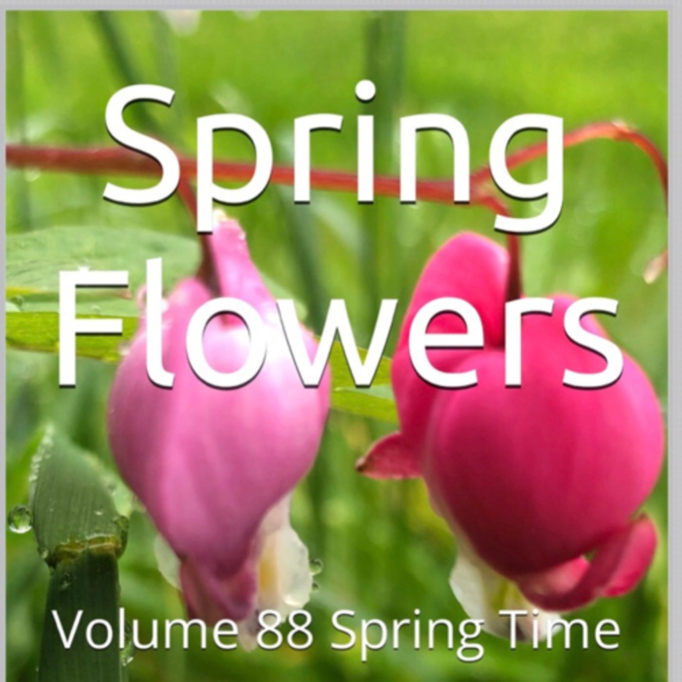 Spring Flowers Volume 88 Spring Time by Daniel Lucas episode artwork