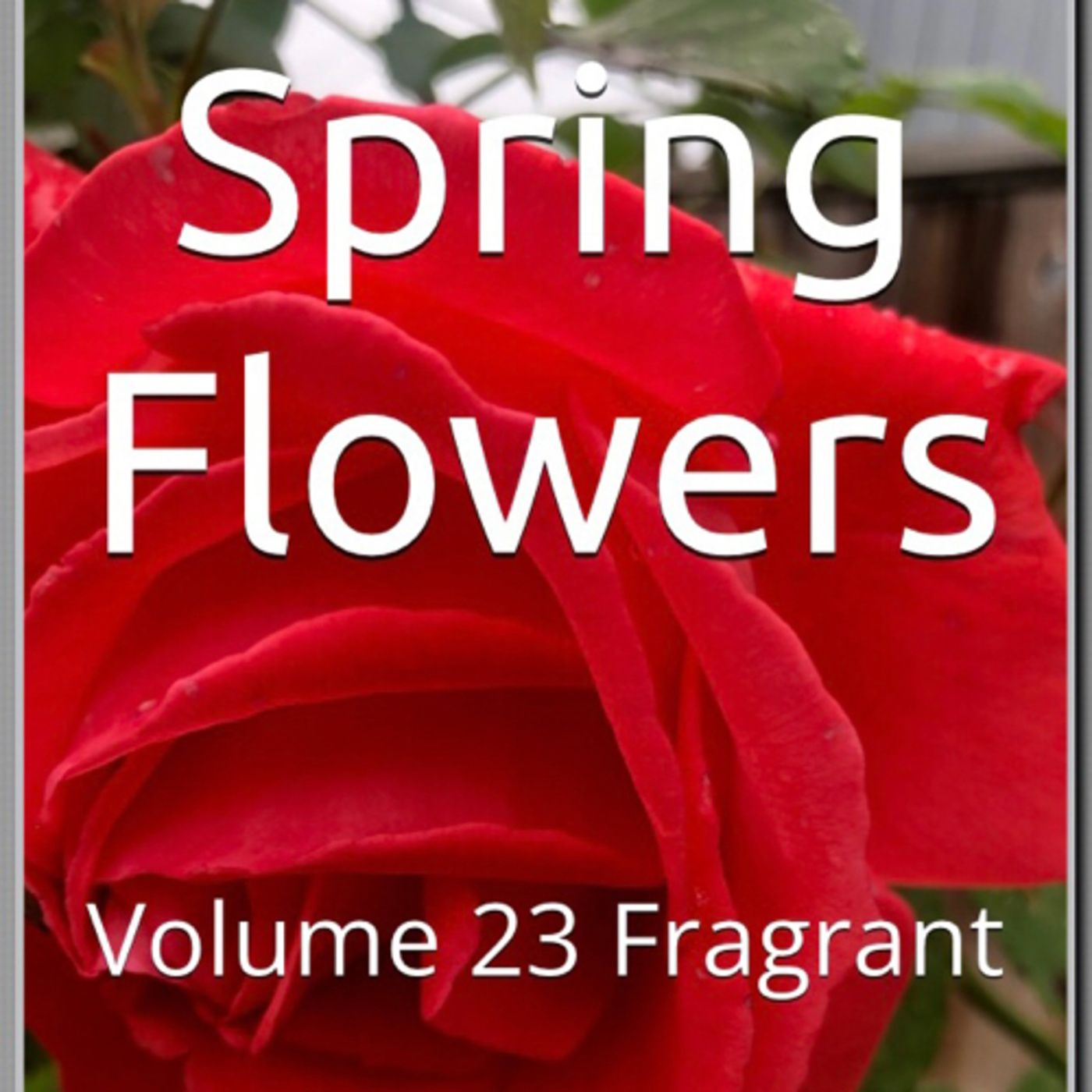 Spring Flowers Volume 23 Fragrant by Daniel Lucas episode artwork