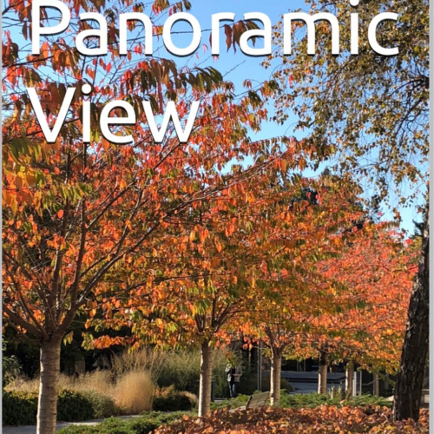 Panoramic View Volume 32 Bright by Daniel Lucas episode artwork