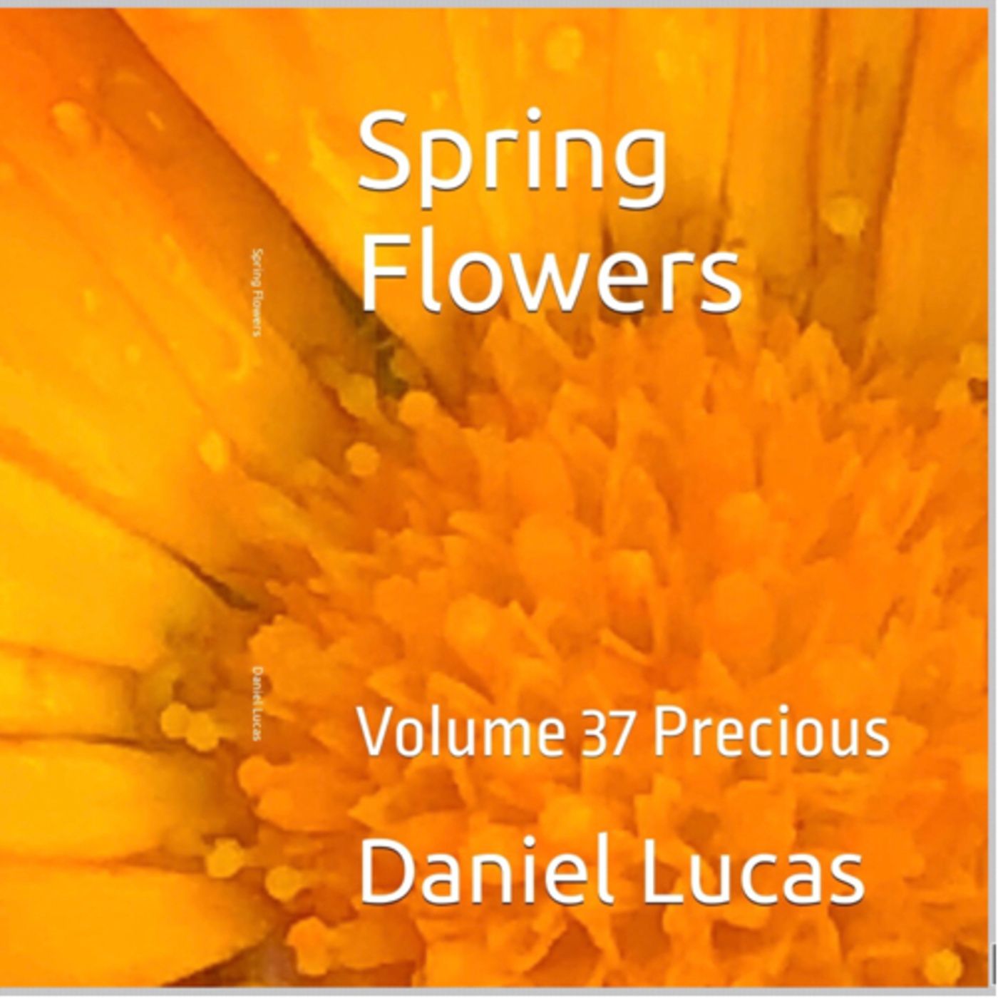 Spring Flowers Volume 37 Precious by Daniel Lucas episode artwork