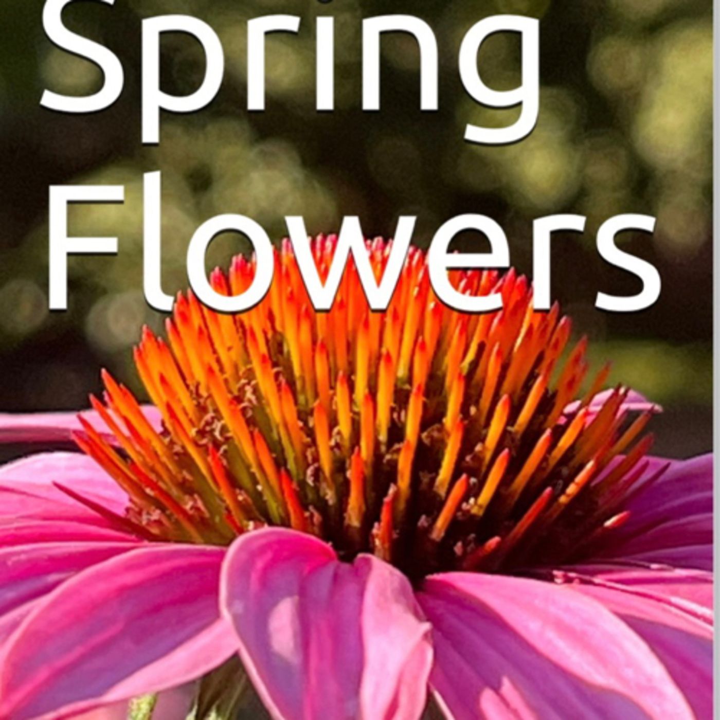 Spring Flowers Volume 93 Decorative by Daniel Lucas episode artwork
