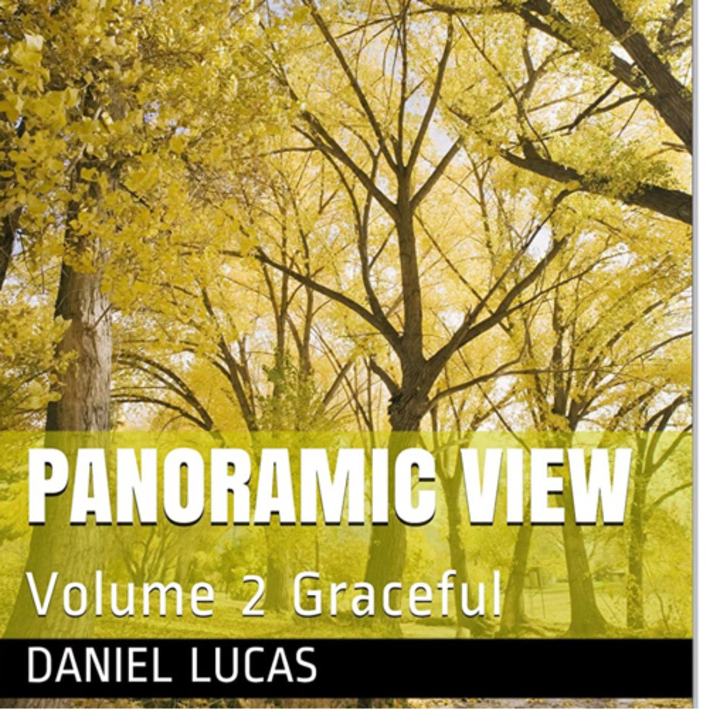Panoramic View Volume 2 Graceful by Daniel Lucas episode artwork