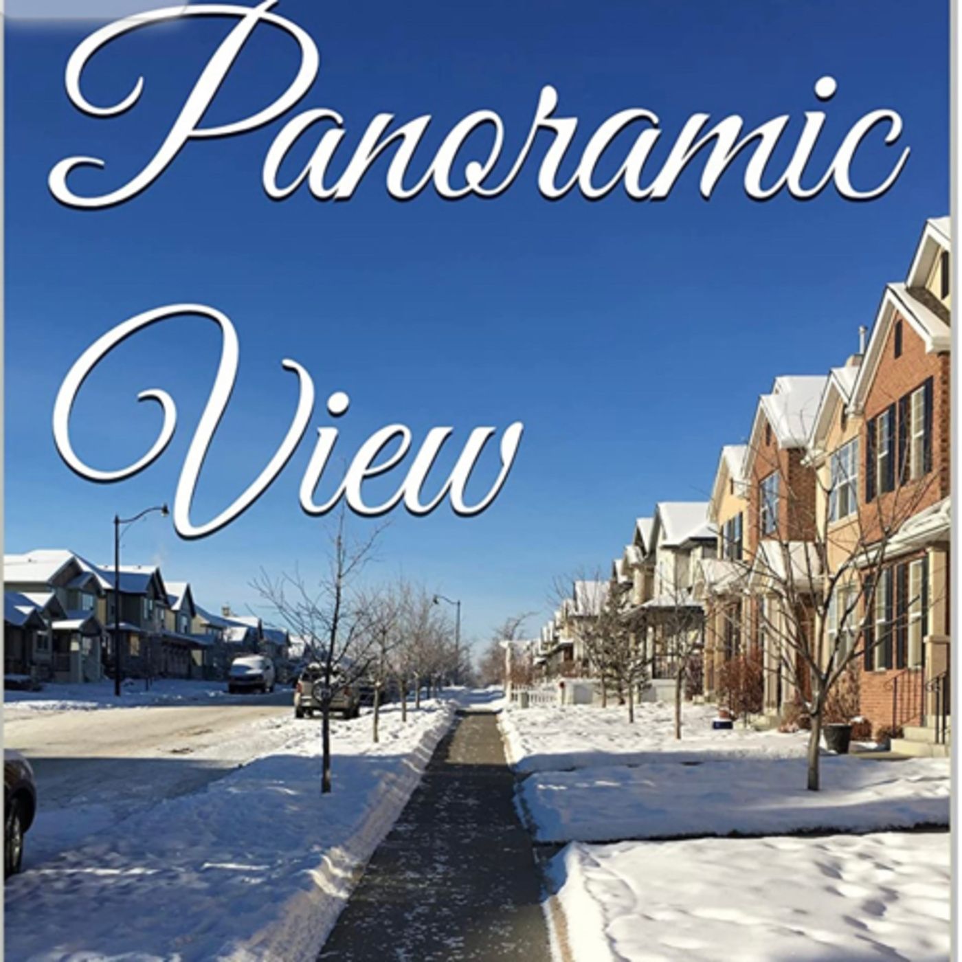 Panoramic View Volume 15 Boldly White by Daniel Lucas episode artwork