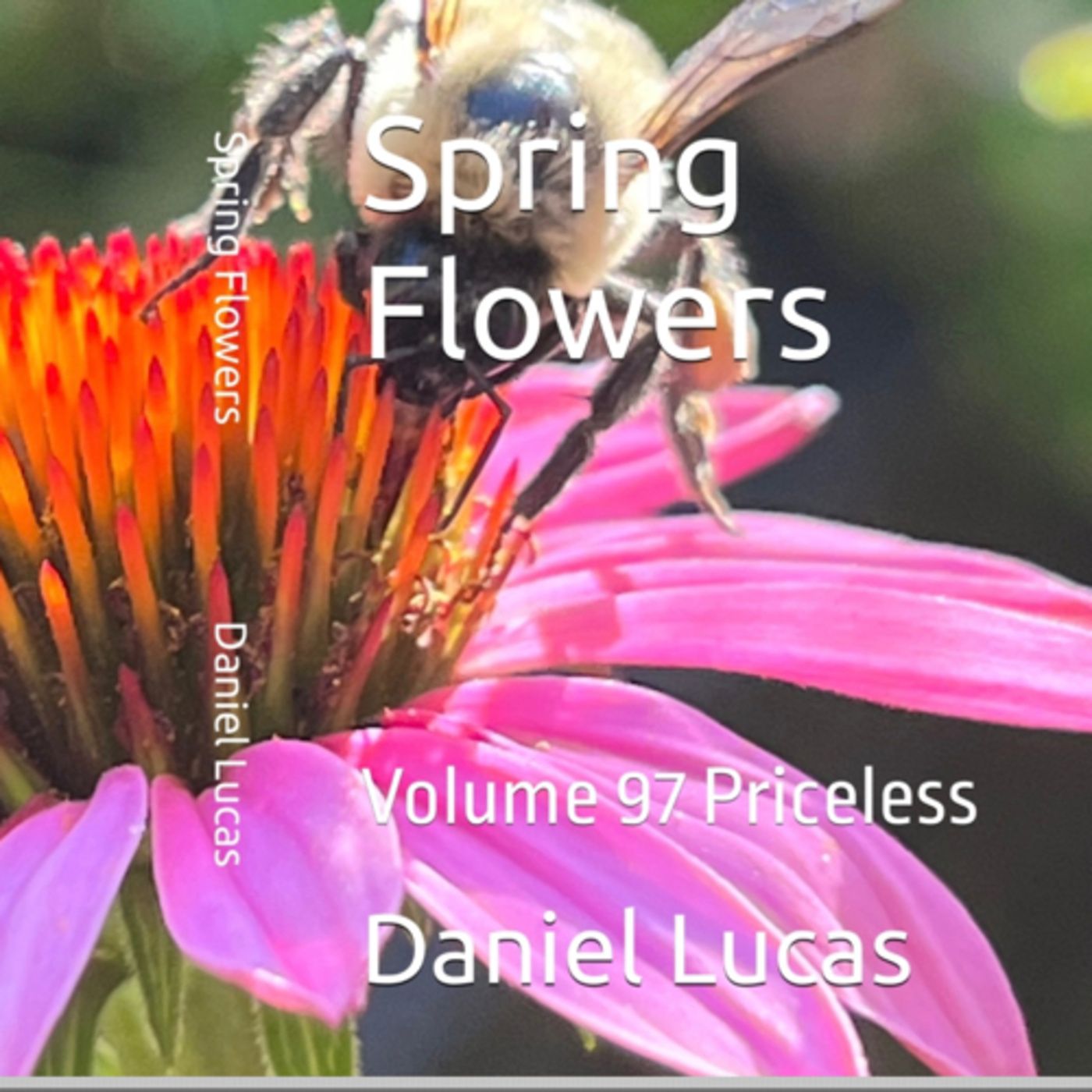 Spring Flowers Volume 96 Priceless by Daniel Lucas episode artwork