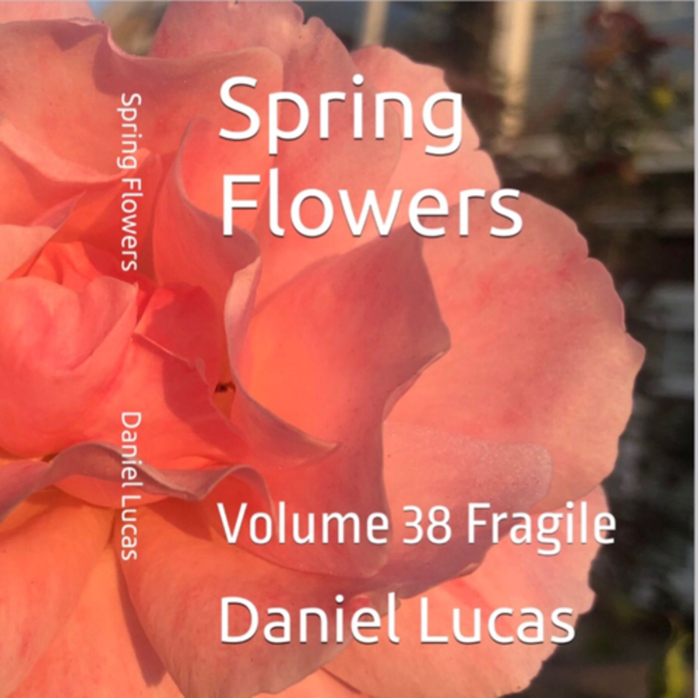 Spring Flowers Volume 38 Fragile by Daniel Lucas episode artwork
