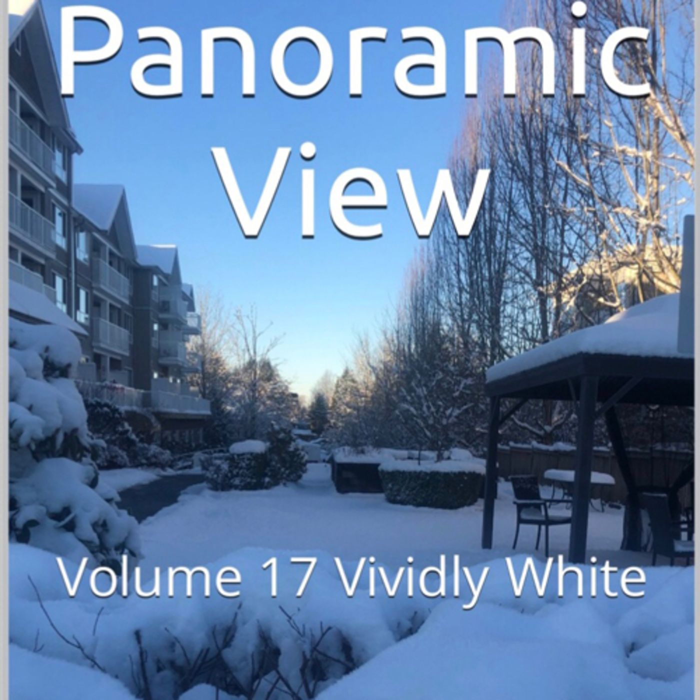 Panoramic View Volume 17 Vividly White by Daniel Lucas episode artwork