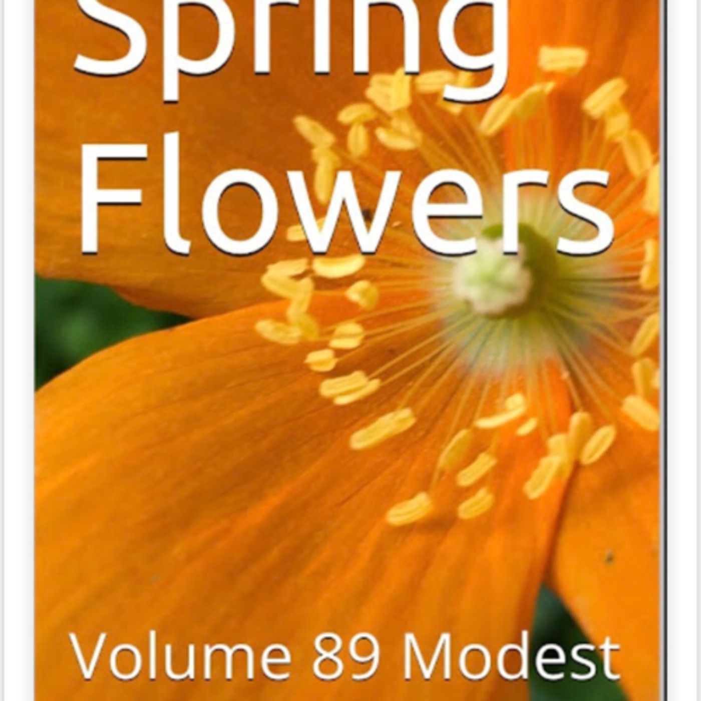 Spring Flowers Volume 89 Modest by Daniel Lucas episode artwork