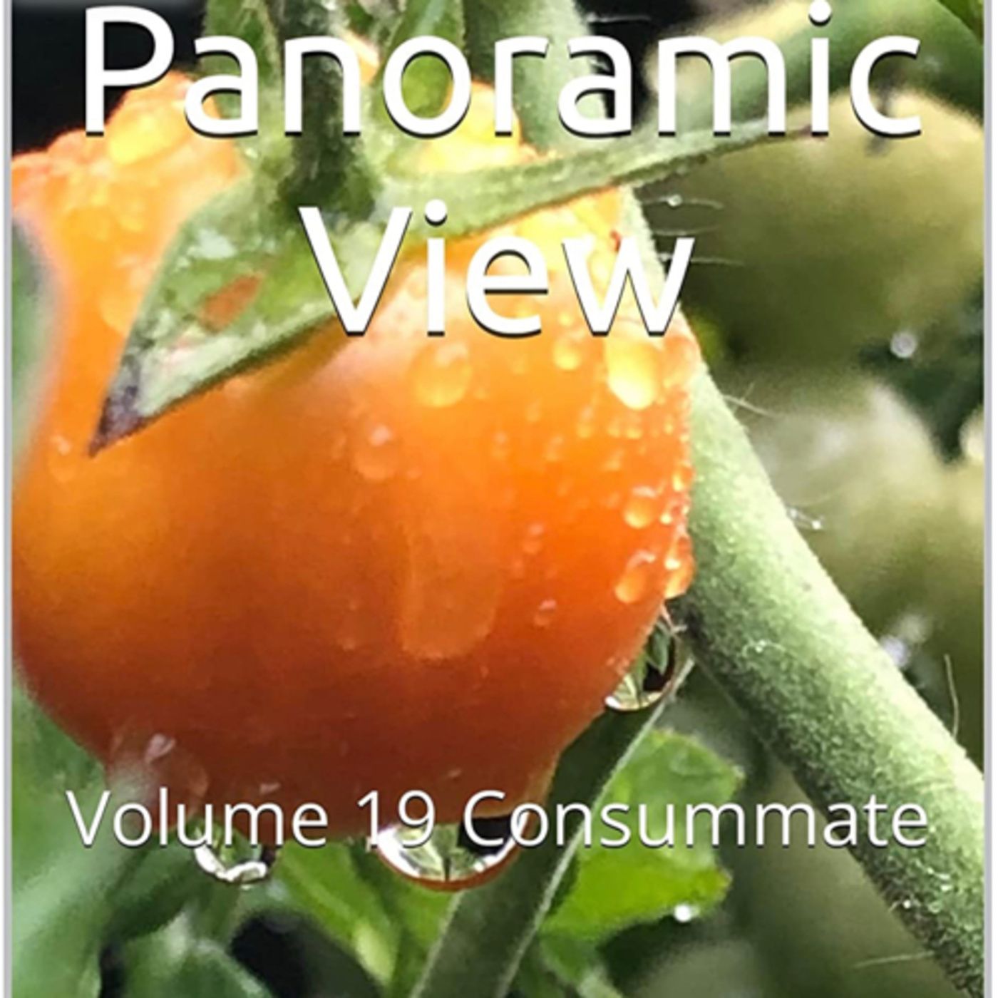 Panoramic View Volume 9 Consummate by Daniel Lucas episode artwork