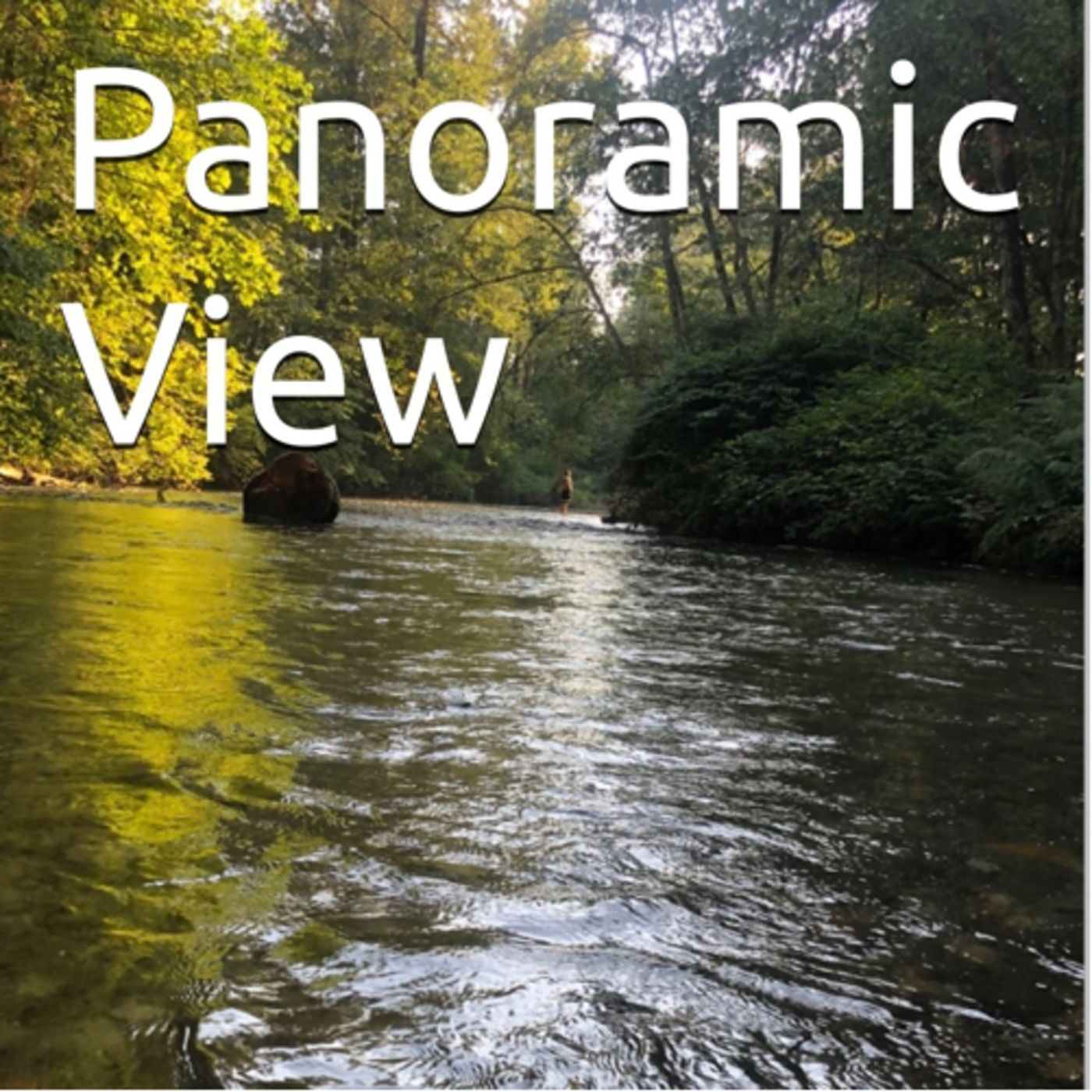 Panoramic View Volume 30 Striking by Daniel Lucas episode artwork