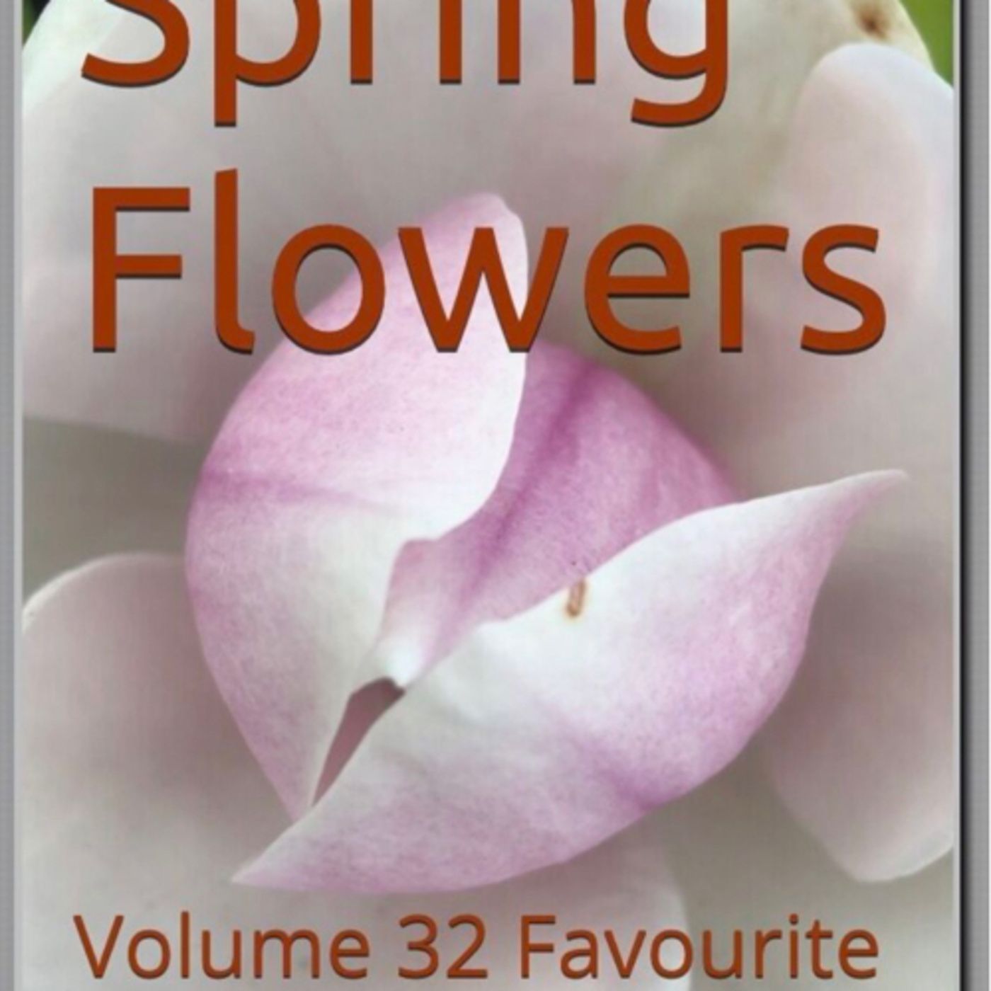 Spring Flowers Volume 32 Favourite by Daniel Lucas episode artwork