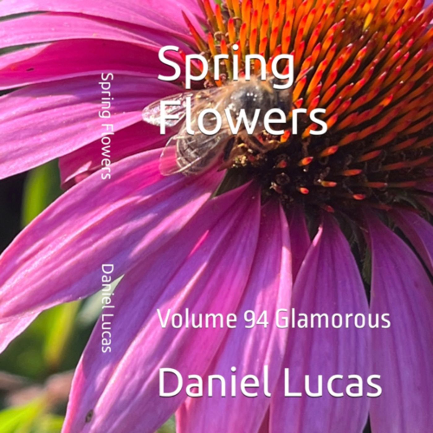Spring Flowers Volume 94 Glamorous by Daniel Lucas episode artwork