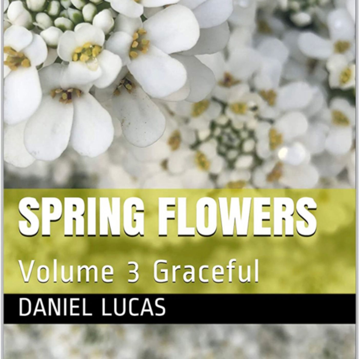 Spring Flowers Volume 3 Graceful by Daniel Lucas episode artwork