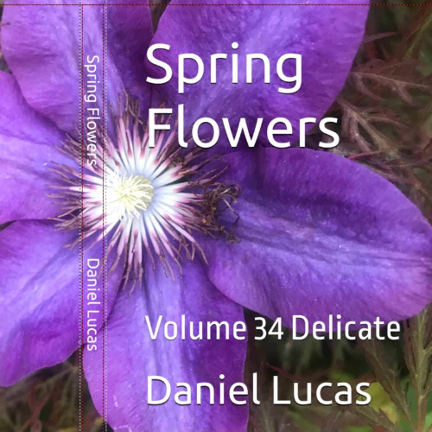 Spring Flowers Volume 34 Delicate by Daniel Lucas episode artwork