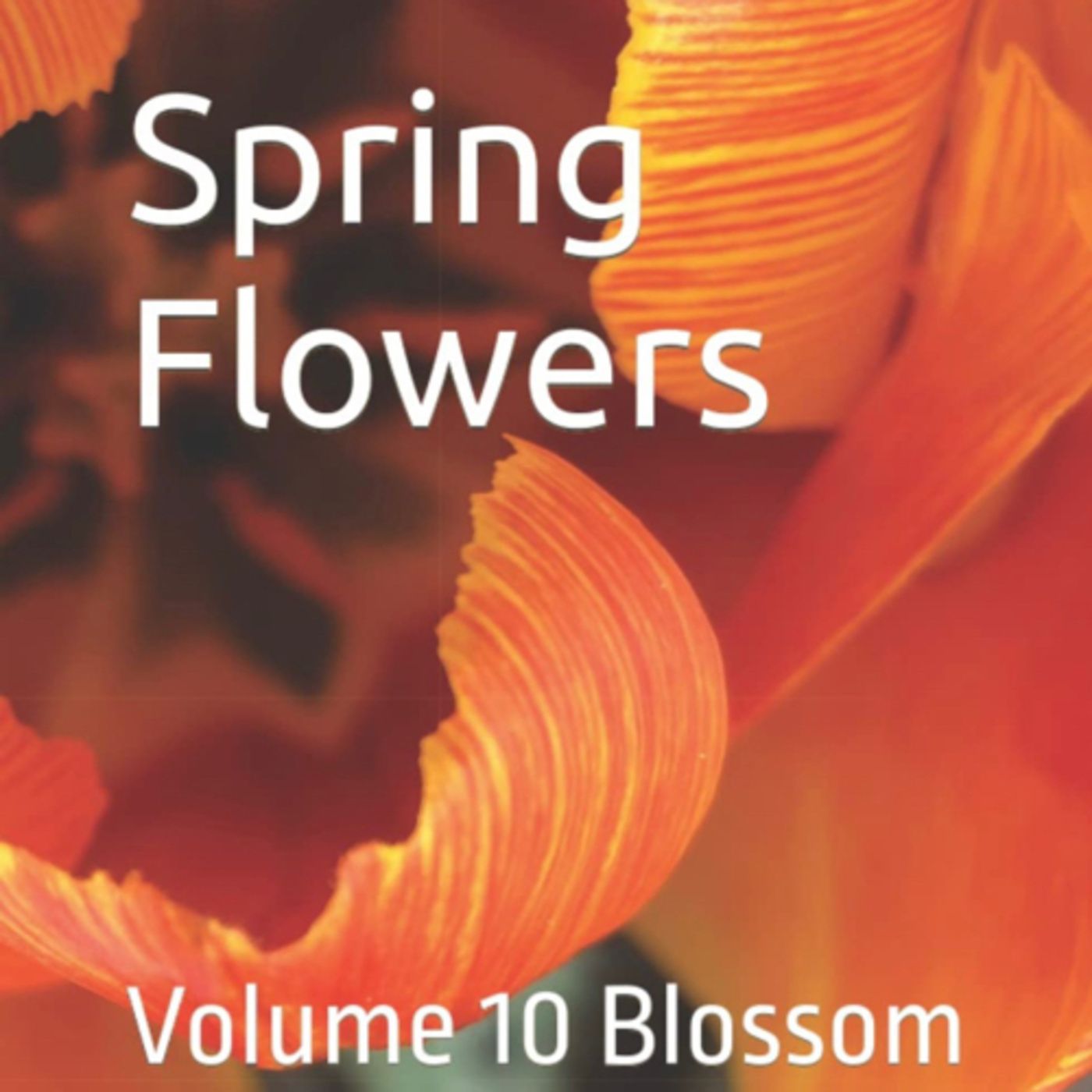 Spring Flowers Volume 10 Blossom by Daniel Lucas episode artwork