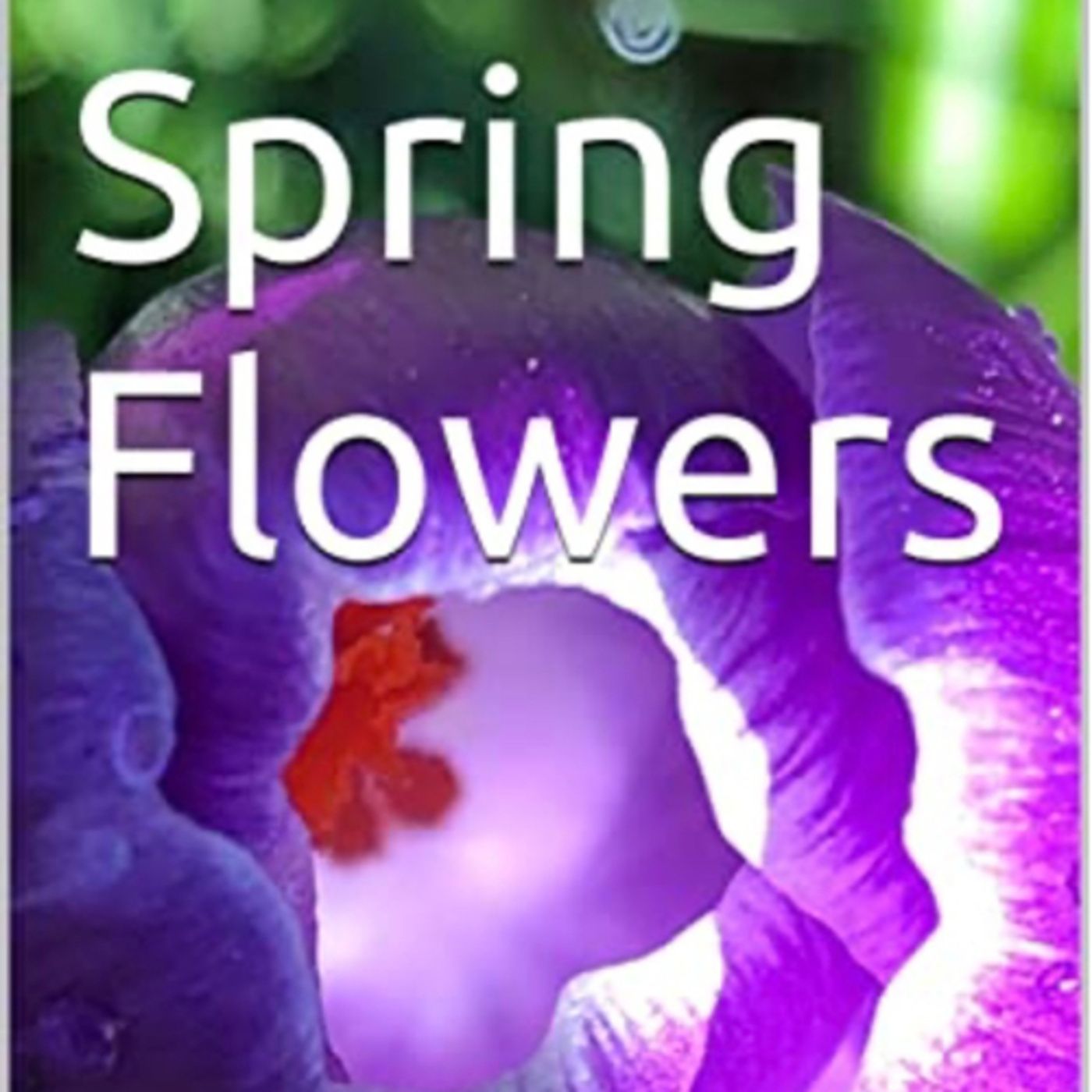 Spring Flowers Volume Fancy by Daniel Lucas episode artwork