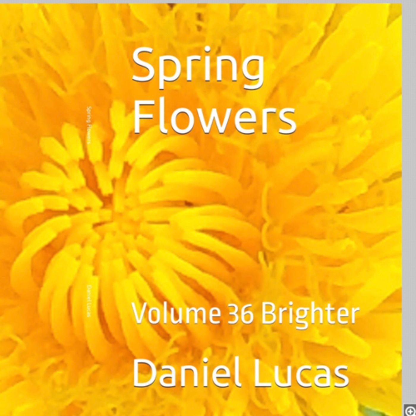 Spring Flowers Volume 36 Brighter by Daniel Lucas episode artwork