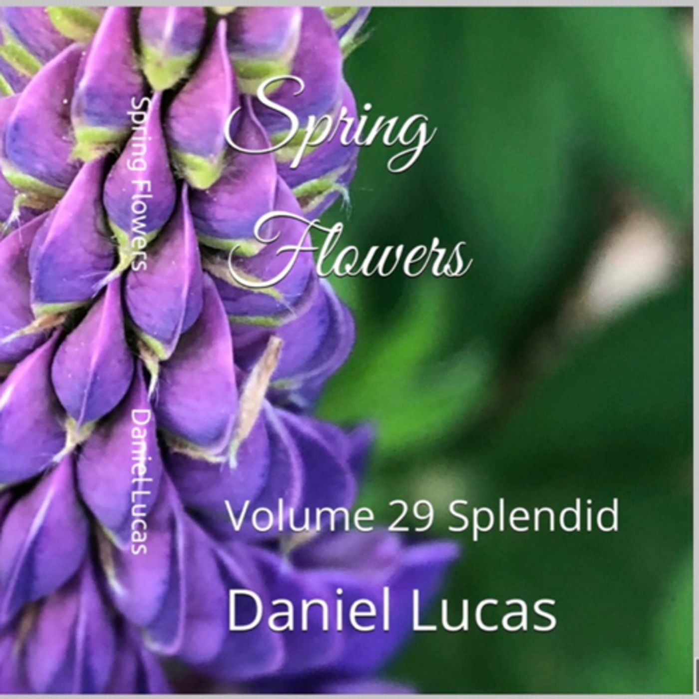 Spring Flowers Volume 29 Splendid by Daniel Lucas episode artwork