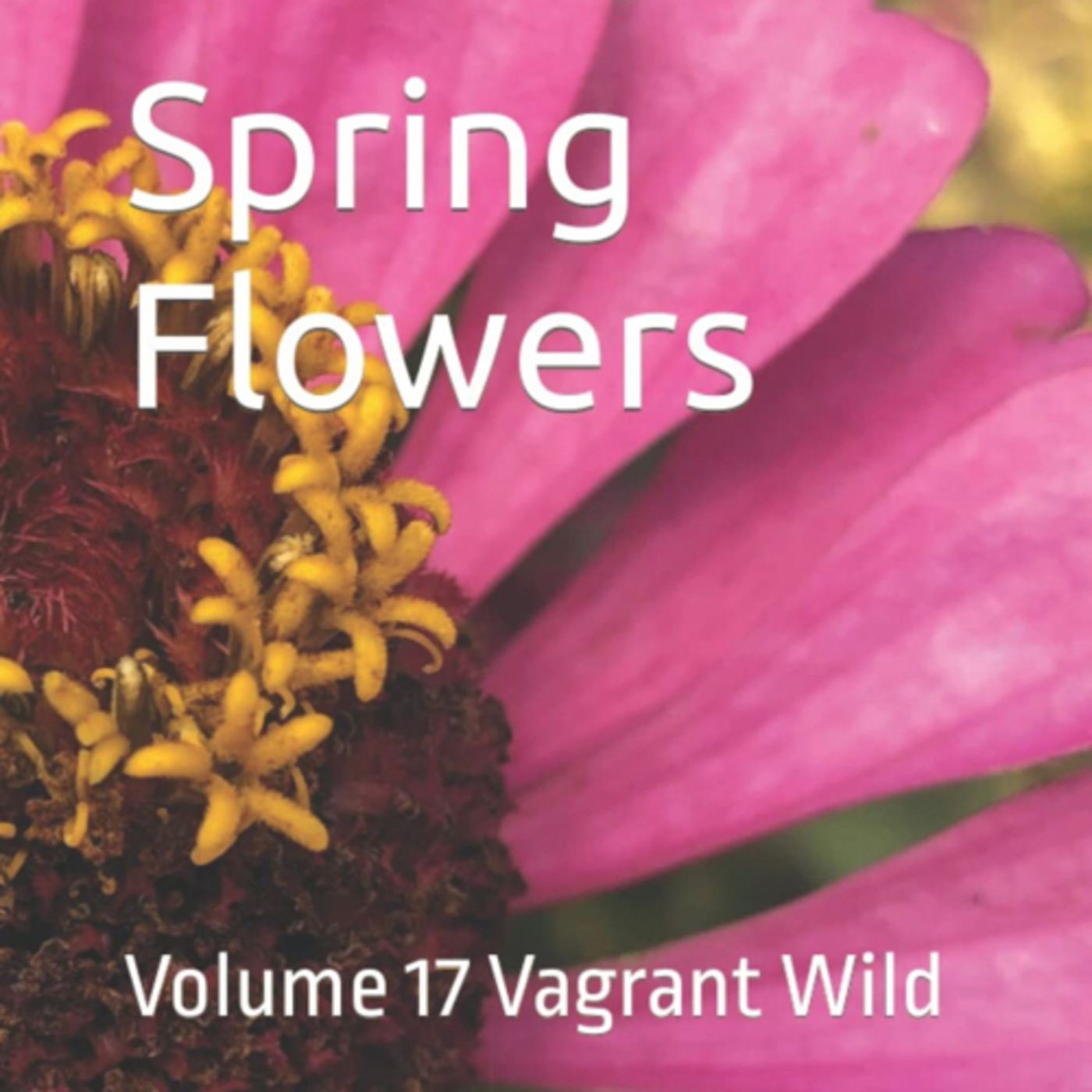 Spring Flowers Volume 17 Vagrant Wild by Daniel Lucas episode artwork