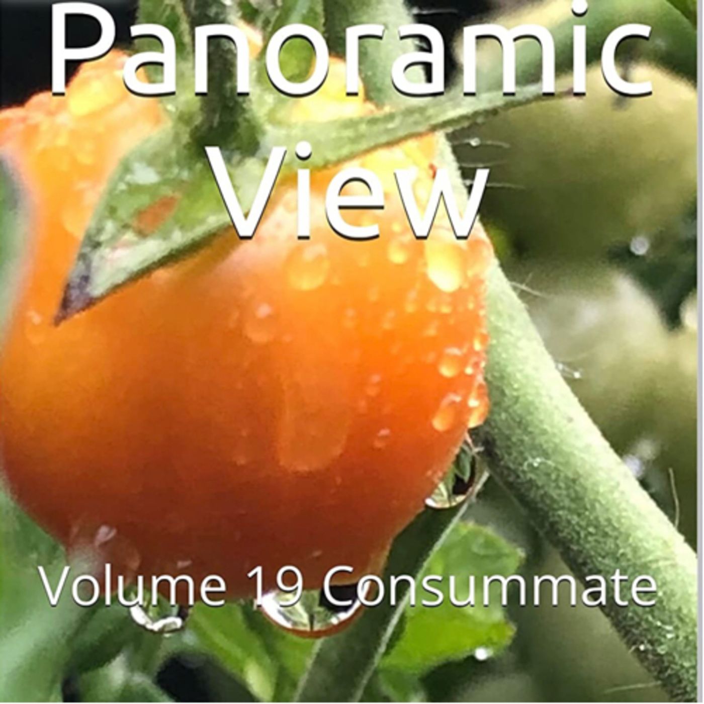 Panoramic View Volume 19 Consummate by Daniel Lucas episode artwork