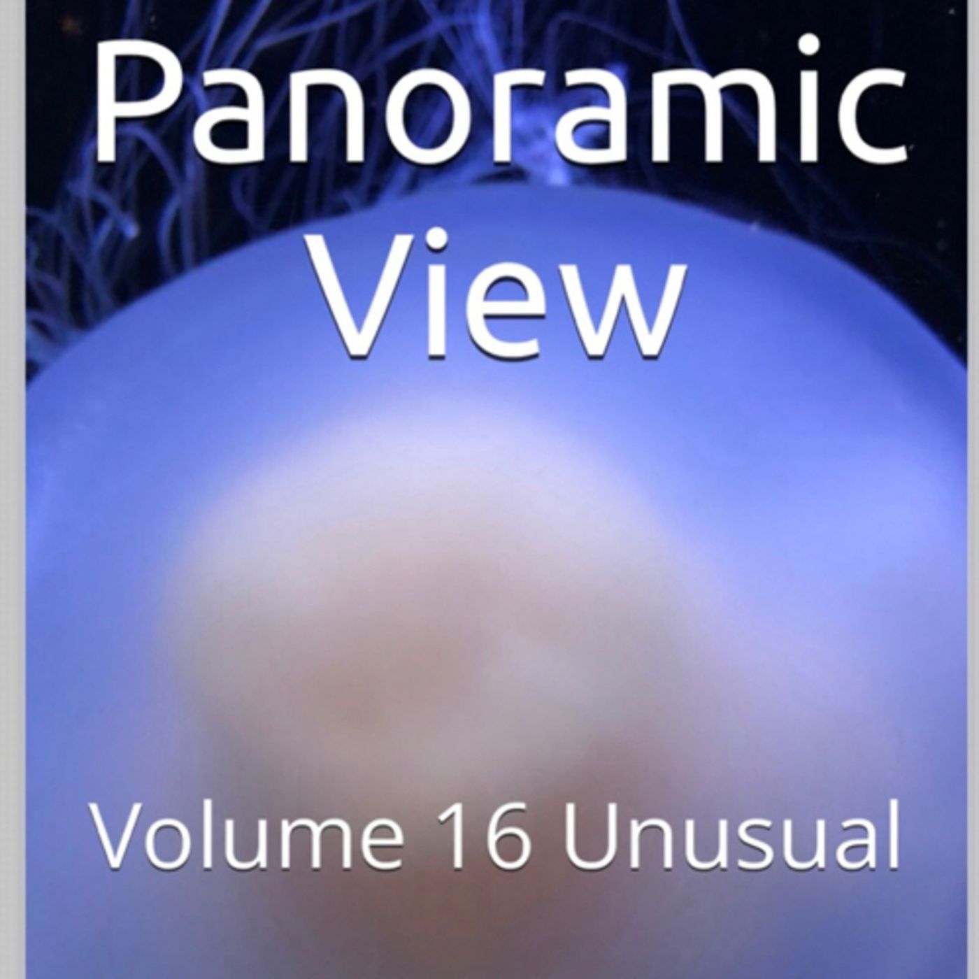 Panoramic View Volume 16 Unusual by Daniel Lucas episode artwork