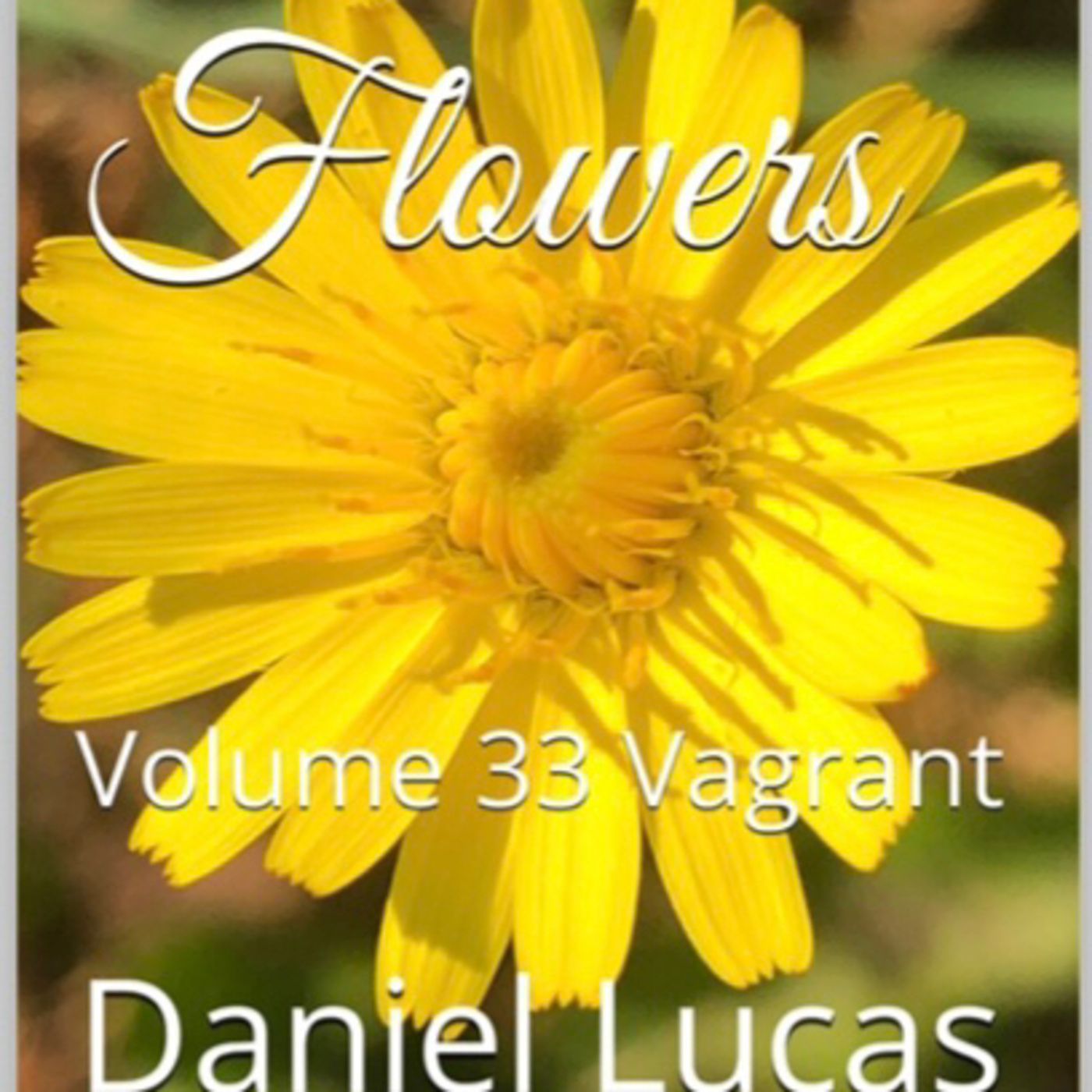 Spring Flowers Volume 33 Vagrant by Daniel Lucas episode artwork