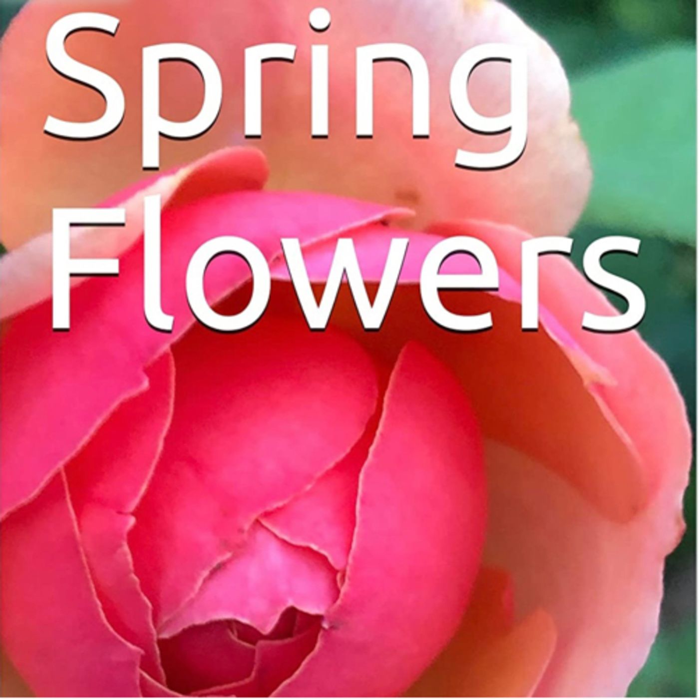 Spring Flowers Volume 101 Pretty by Daniel Lucas episode artwork