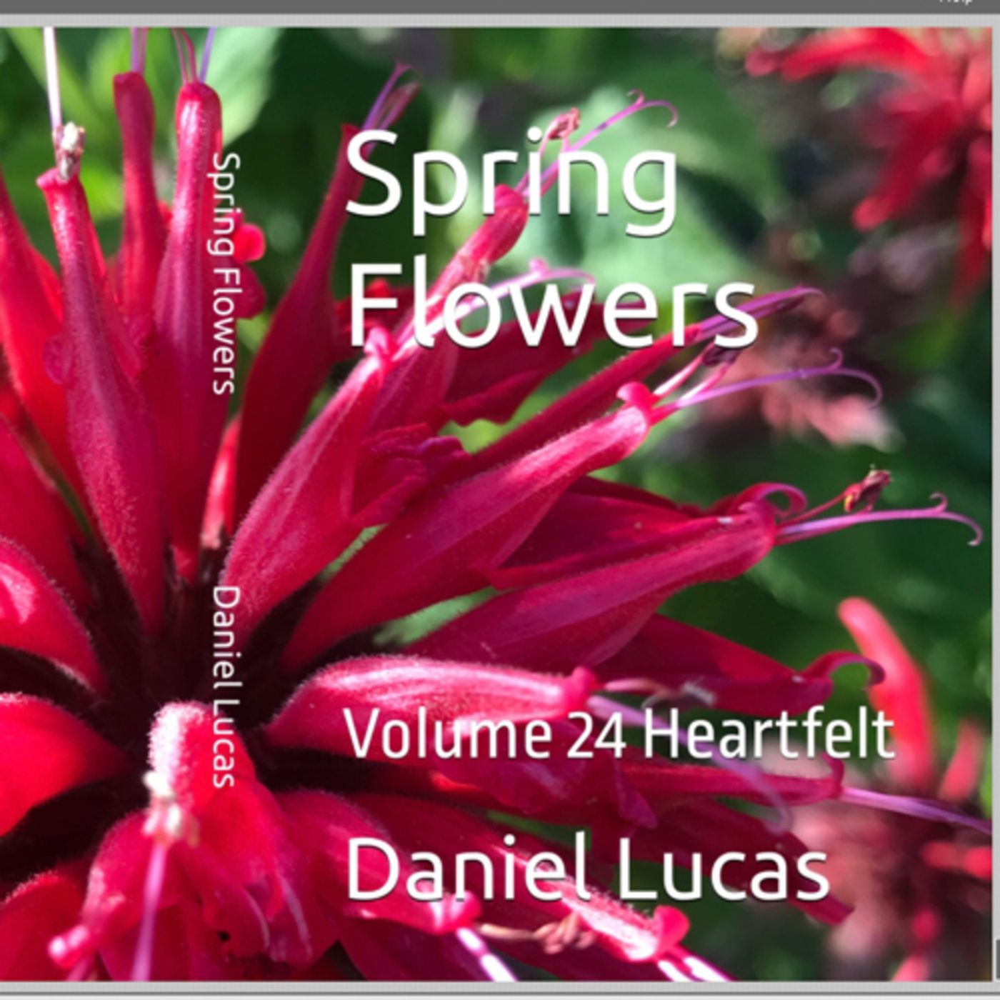 Spring Flowers Volume 24 Heartfelt by Daniel Lucas. episode artwork
