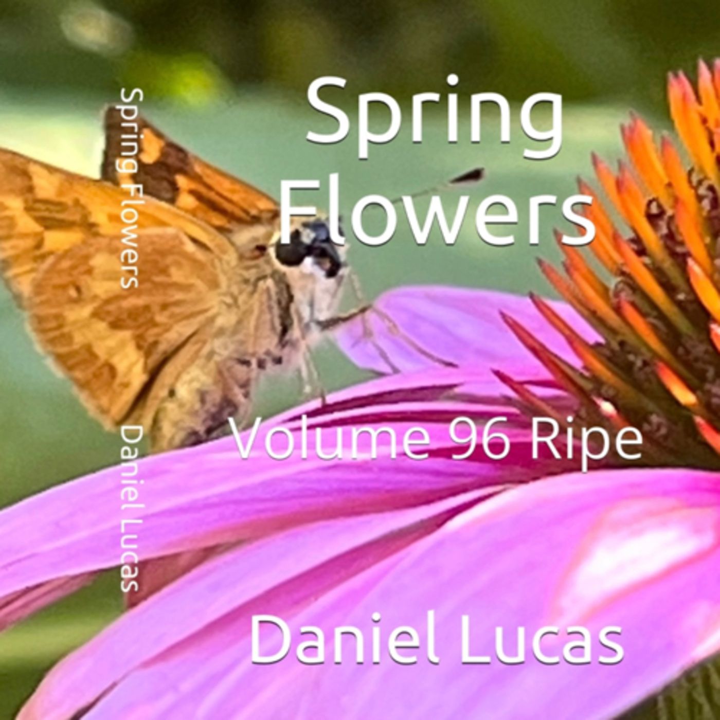 Spring Flowers Volume 96 Ripe by Daniel Lucas episode artwork