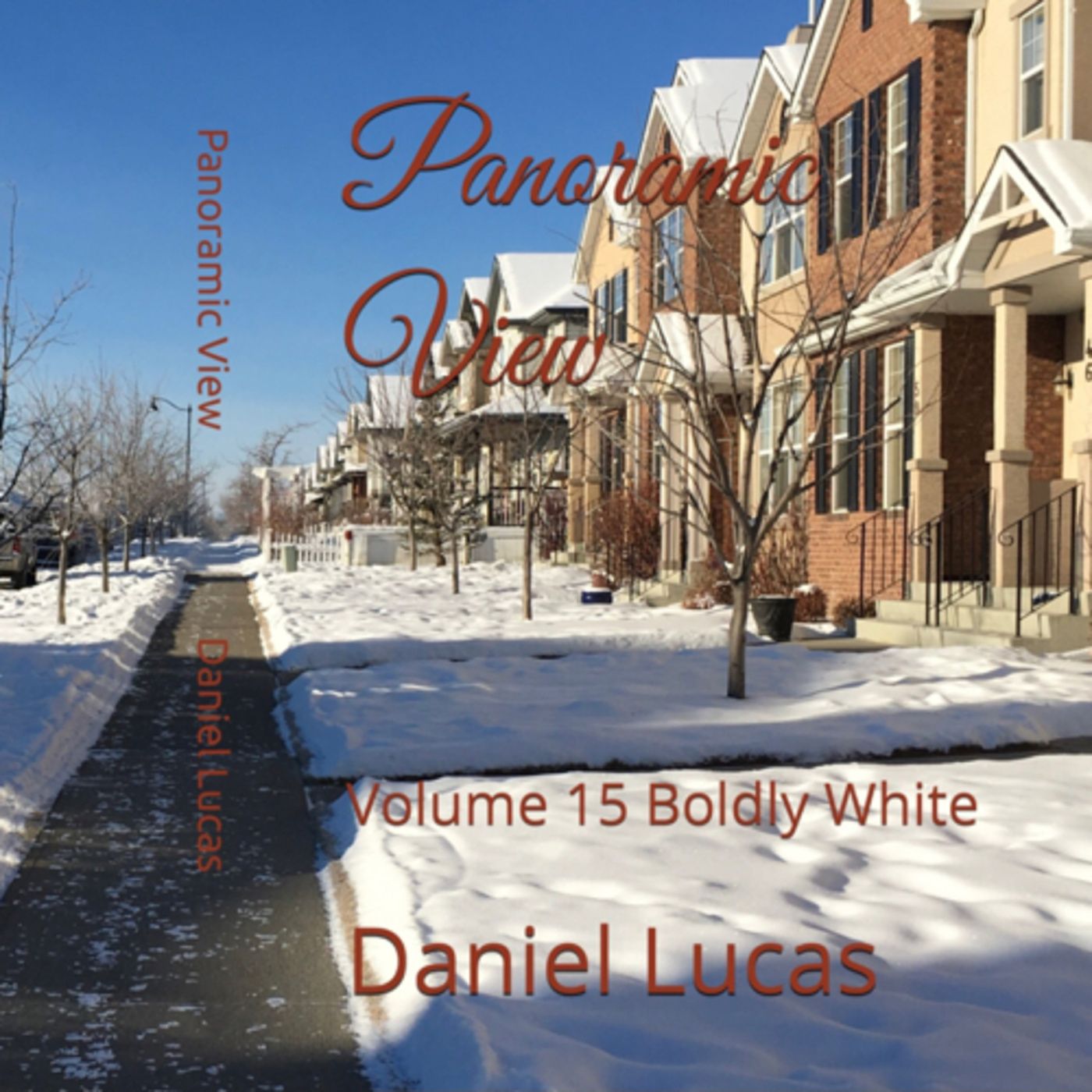 Panoramic View Volume 15 Boldly White by Daniel Lucas episode artwork