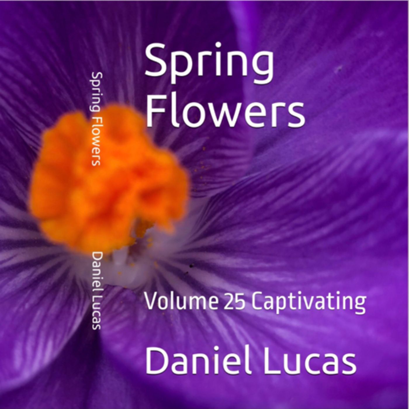 Spring Flowers Volume 25 Captivating by Daniel Lucas episode artwork