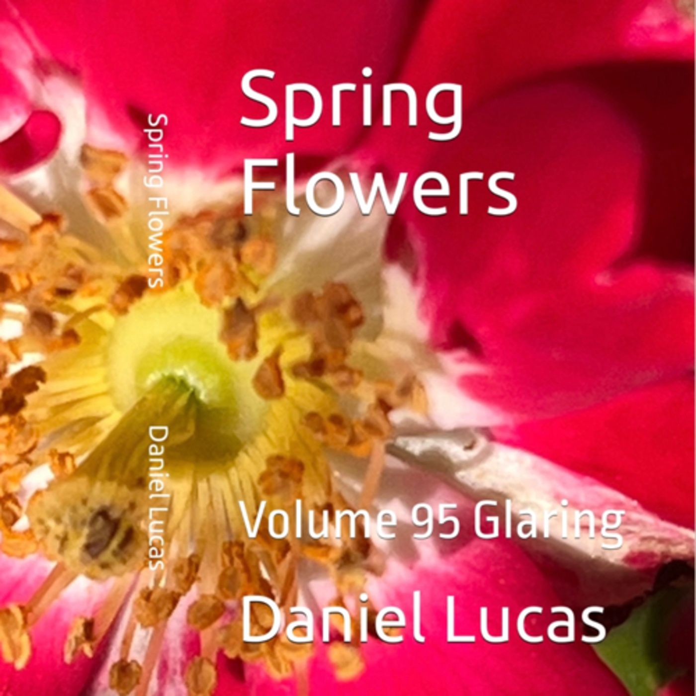 Spring Flowers Volume 95 Glaring by Daniel Lucas episode artwork