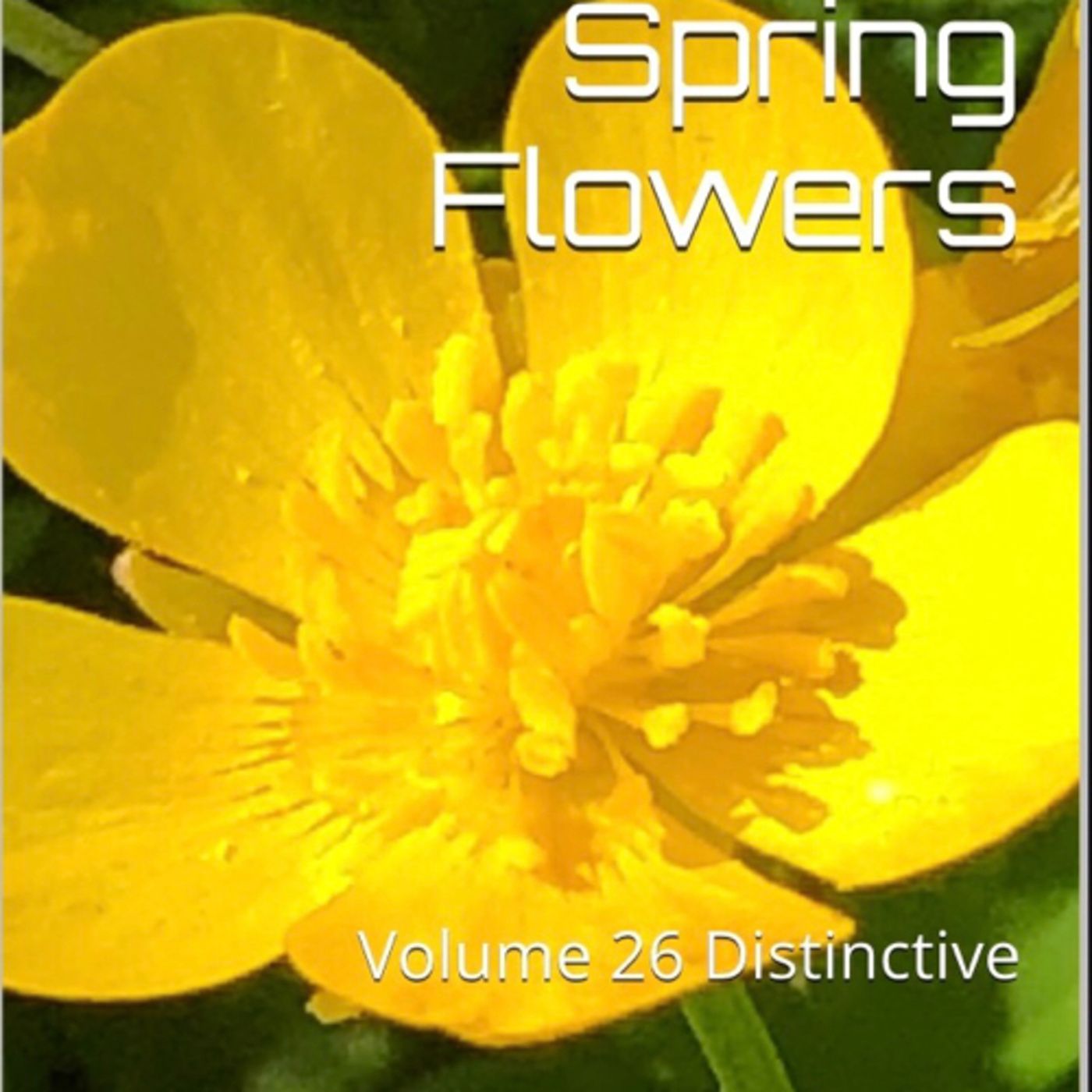 Spring Flowers Volume 26 Distinctive by Daniel Lucas episode artwork