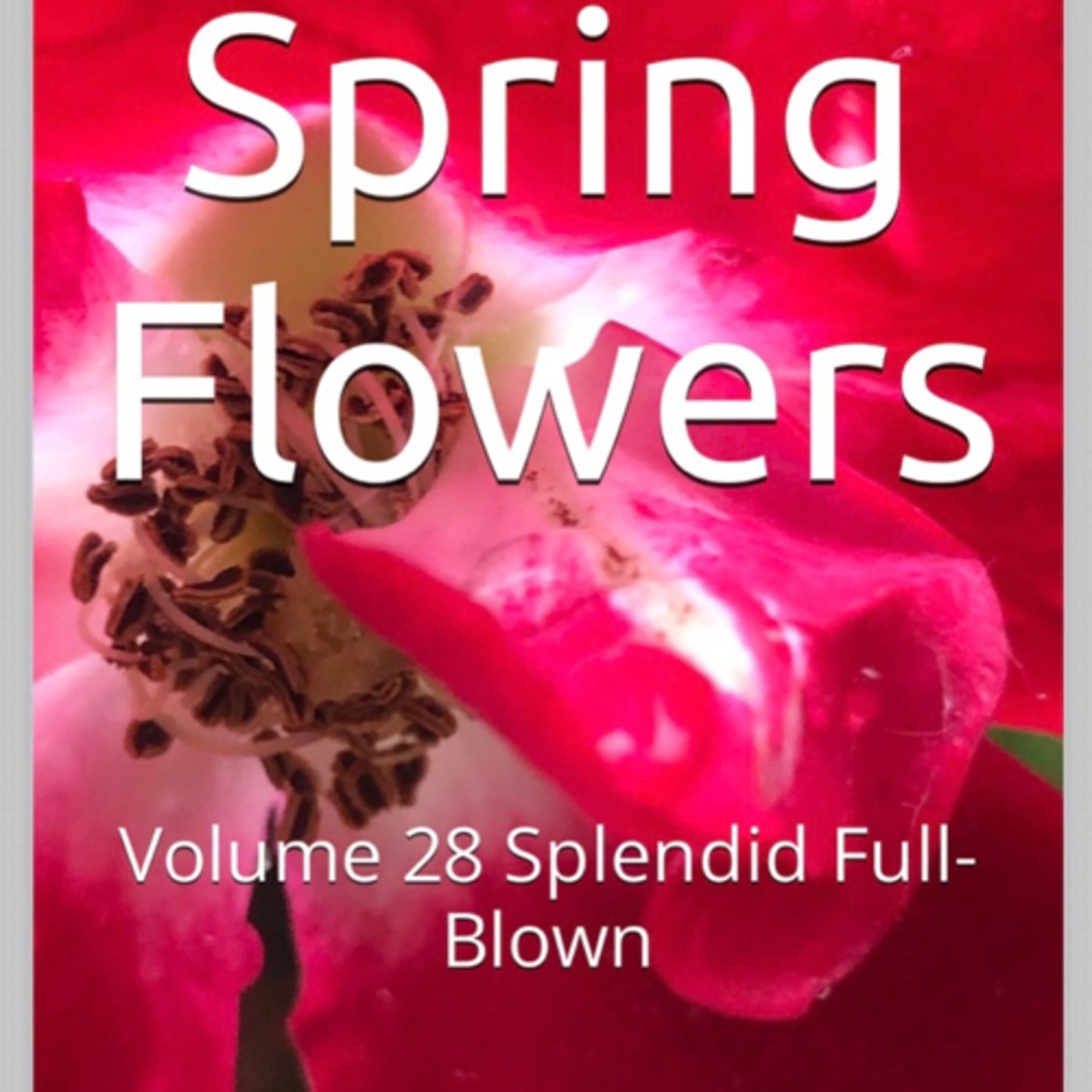 Spring Flowers Volume 28 Splendid Full Blown by Daniel Lucas episode artwork