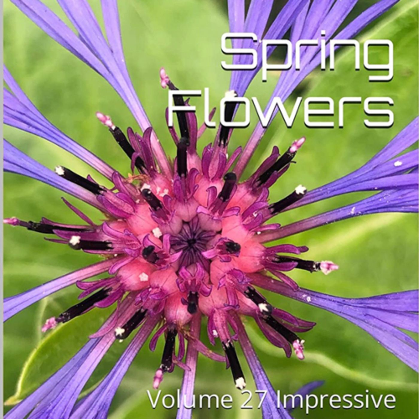 Spring Flowers Volume 27 Impressive by Daniel Lucas episode artwork