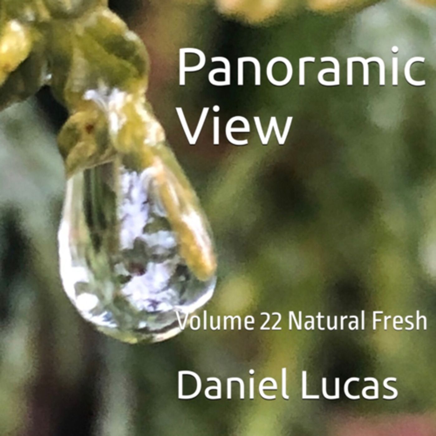 Panoramic View Volume 22 Natural Fresh by Daniel Lucas episode artwork