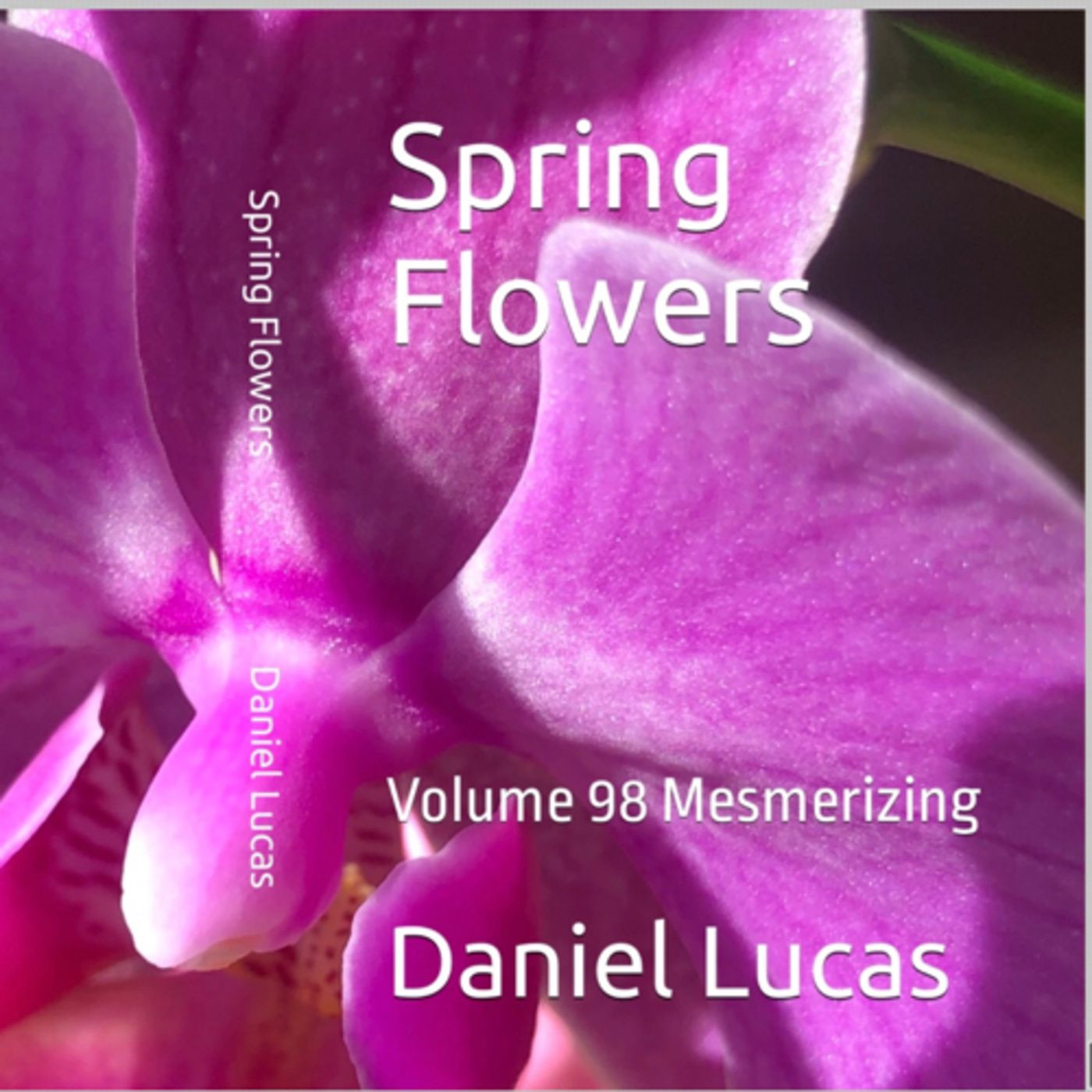 Spring Flowers Volume 98 Mesmerizing by Daniel Lucas episode artwork