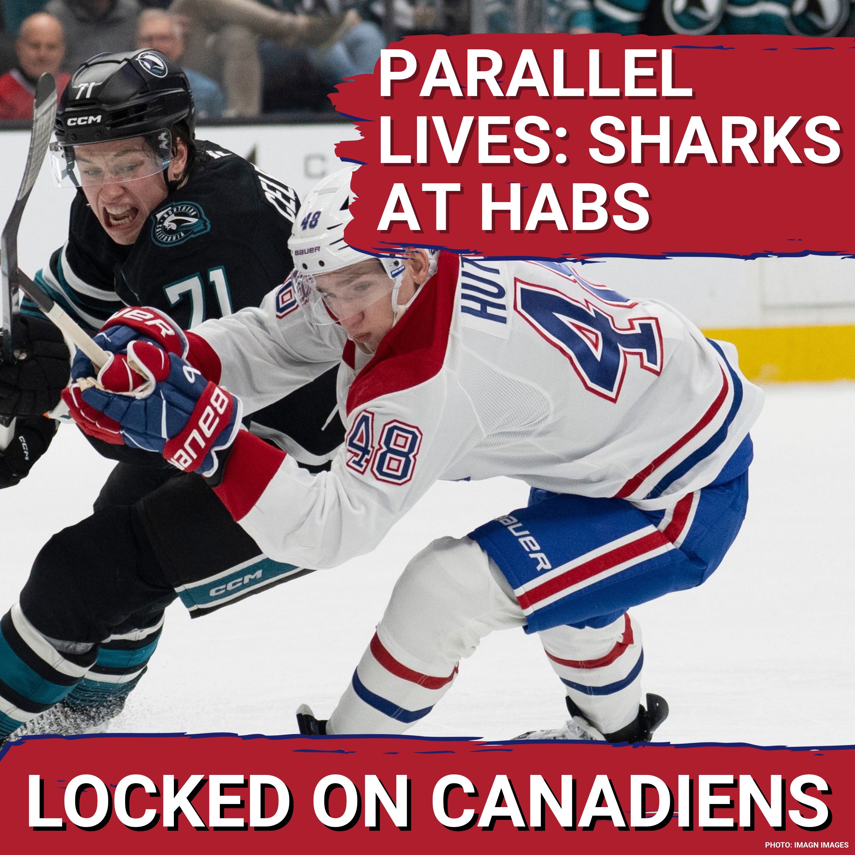 CHALLENGE: Montreal Canadiens pursue victory over San Jose Sharks and Macklin Celebrini as Blackhawks and Jets loom