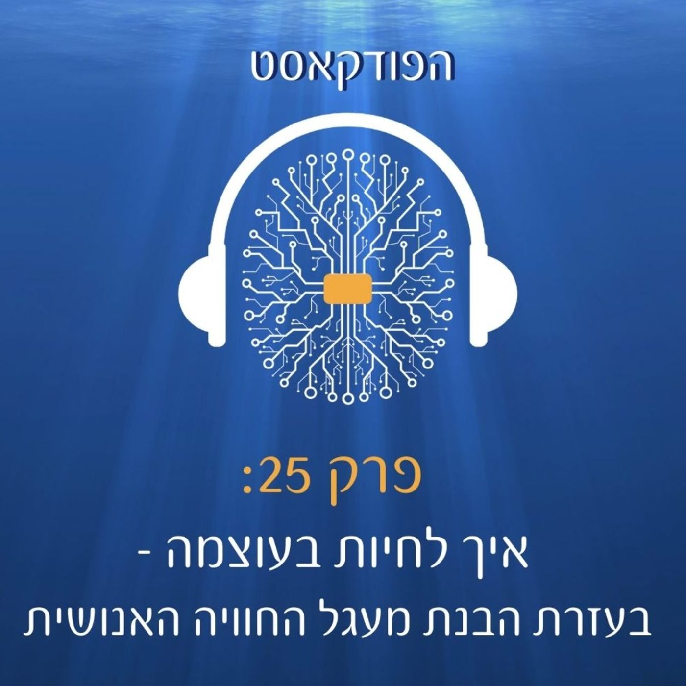 פרק 25-לחיות במלוא העוצמה: איך ליישם מודל מעגל החוויה האנושית