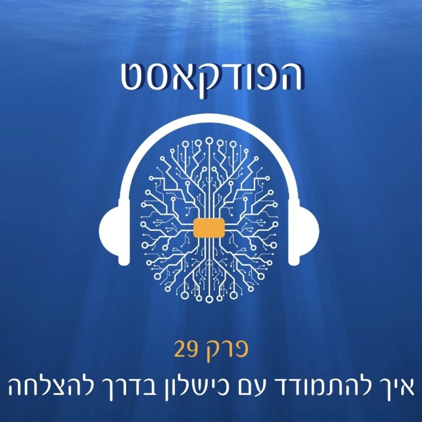 פרק 29-איך להתמודד עם כישלון בדרך להצלחה