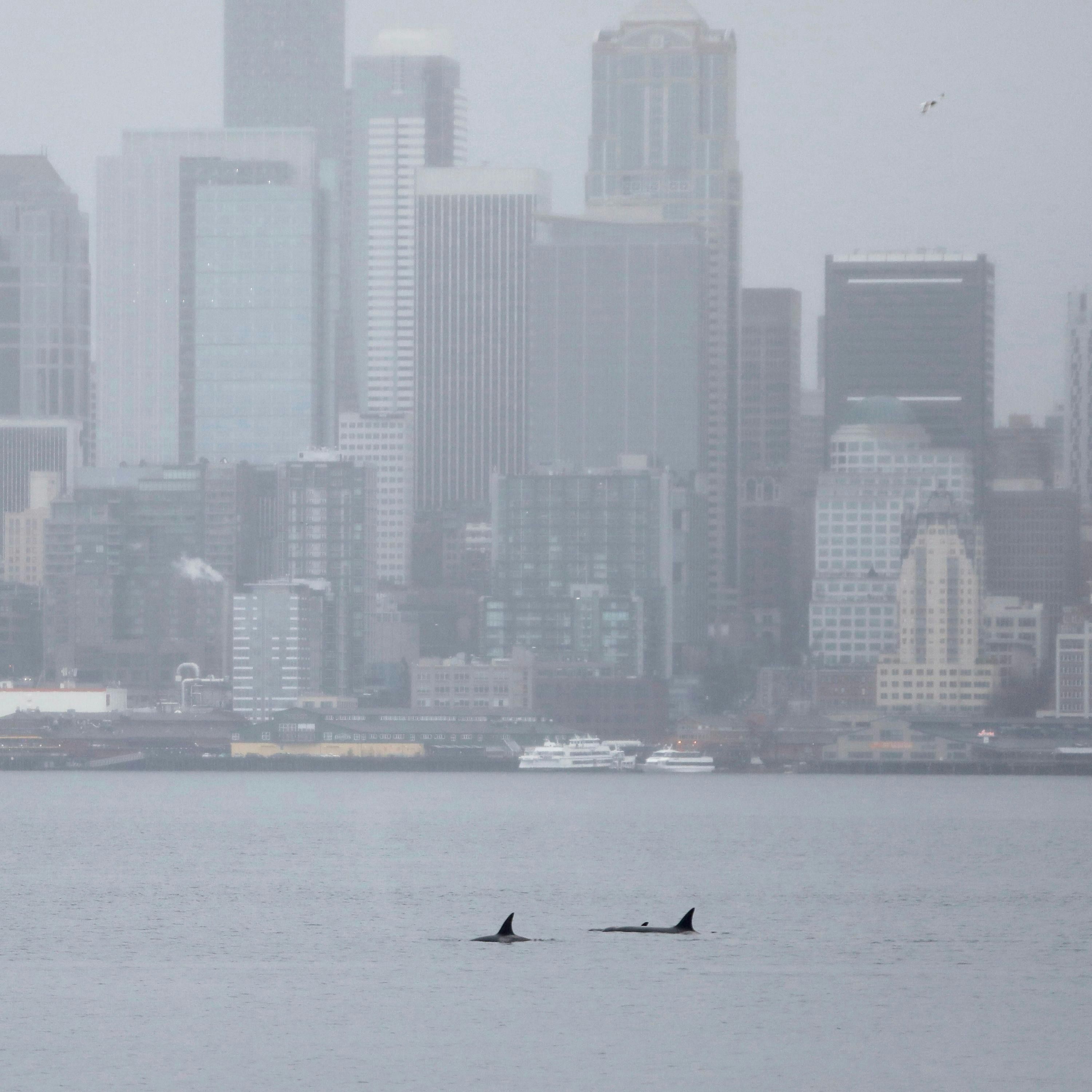 WalletHub: Inflation Hits Seattle, Boston, Chicago Hardest