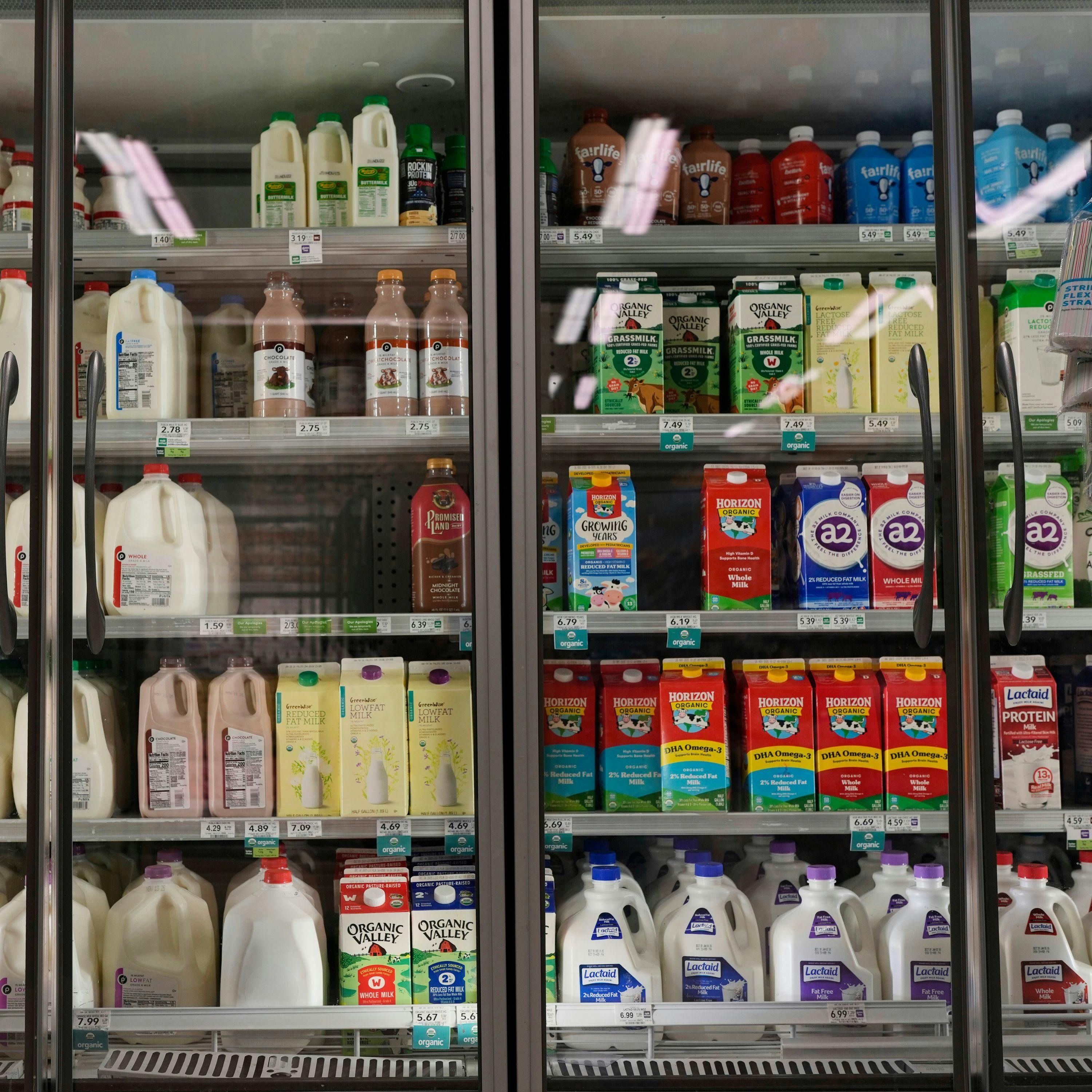 SNAP Cuts Spark Outrage Amid Shutdown