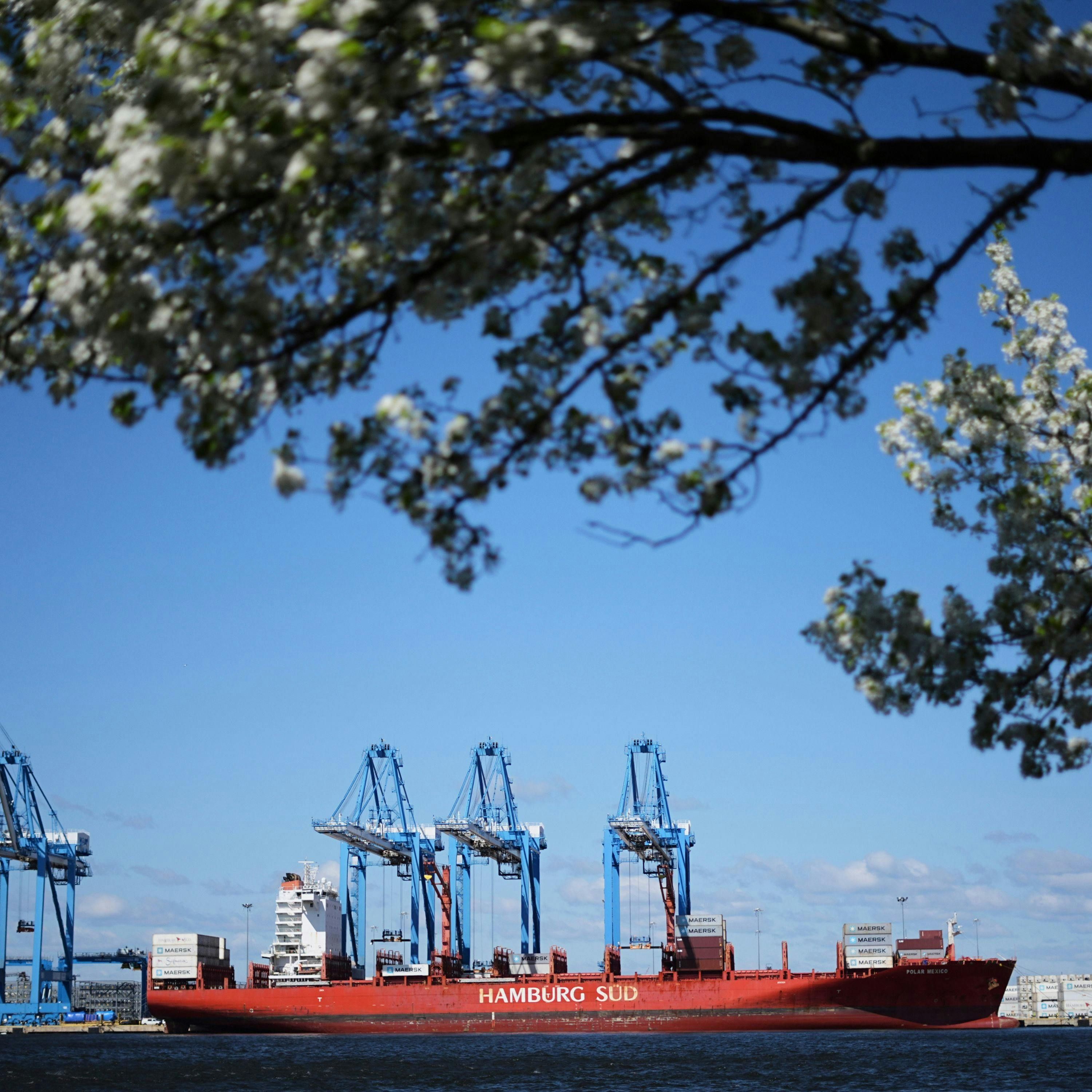 Trump Tariffs Hit Hard — Do Voters Want More?