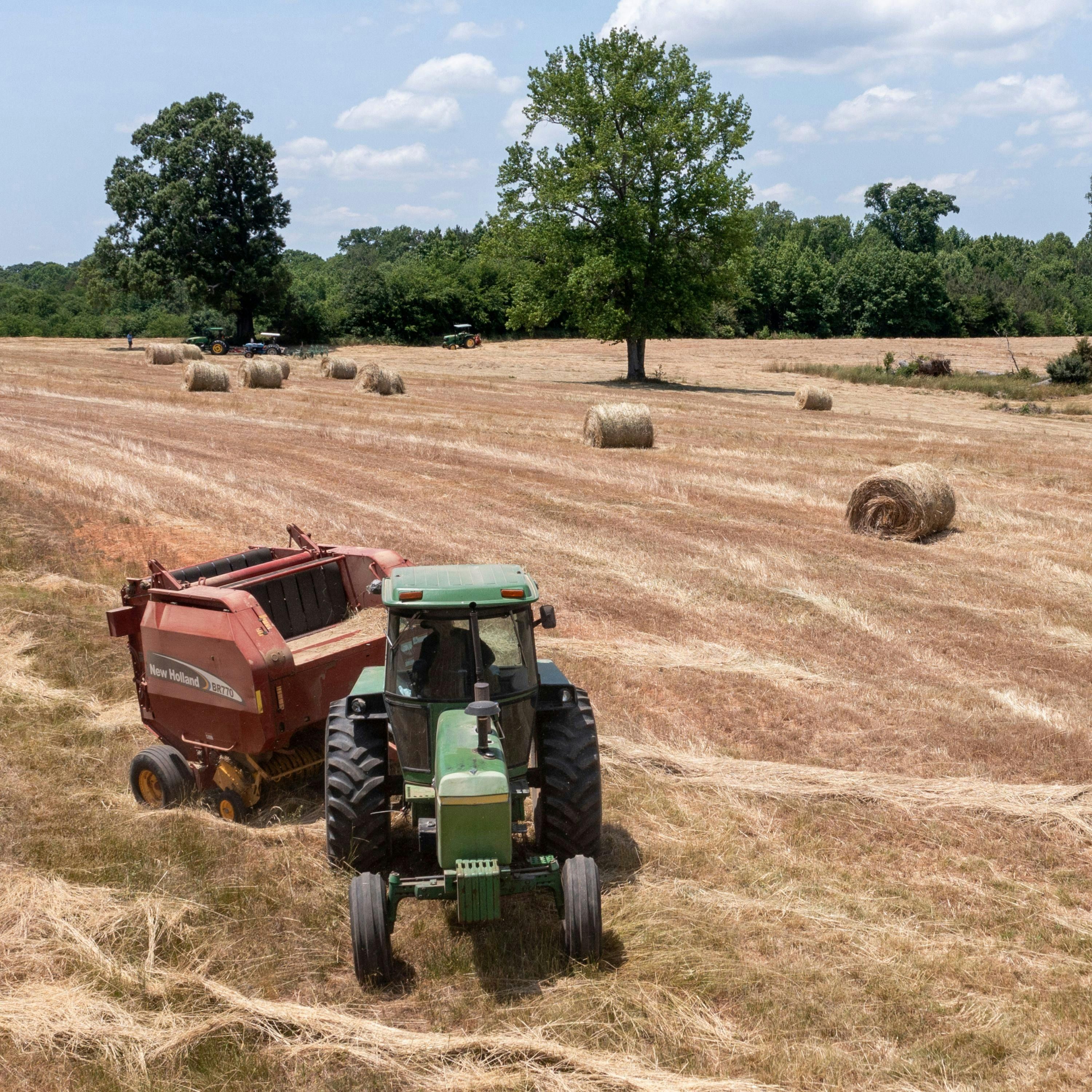No Seat at the Table: Black Farmers Say They Were Cut Out