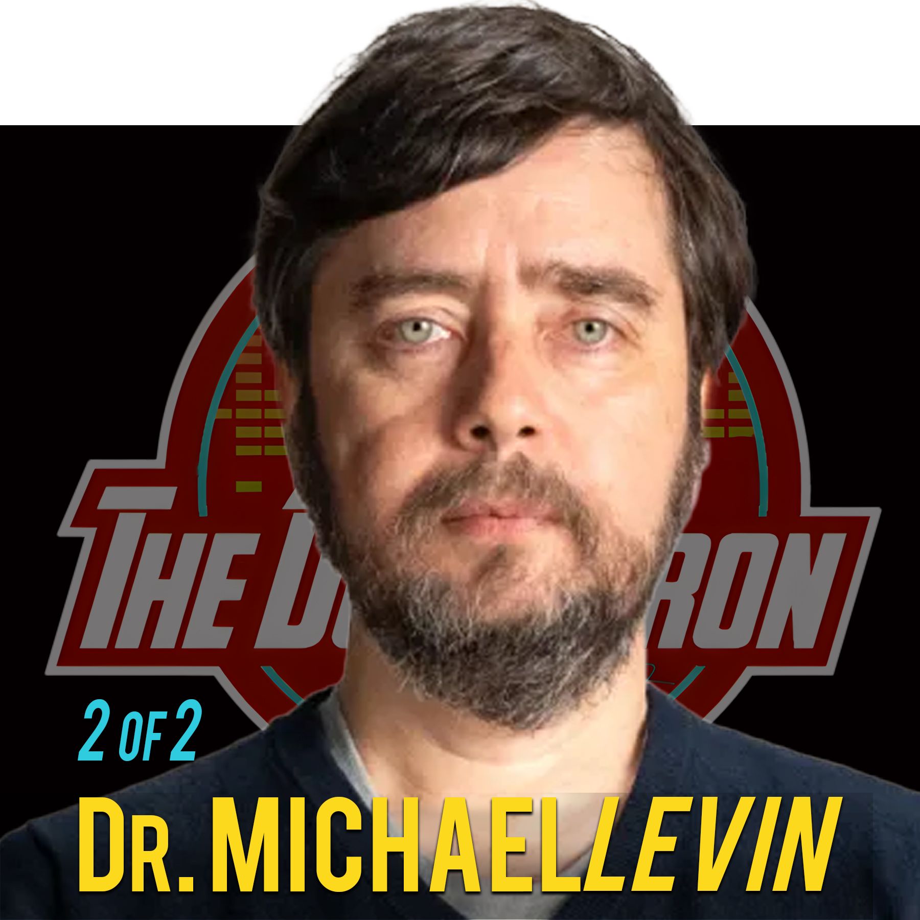 Part 2 of 2: "Unveiling the Alchemy of Consciousness" Professor Michael Levin