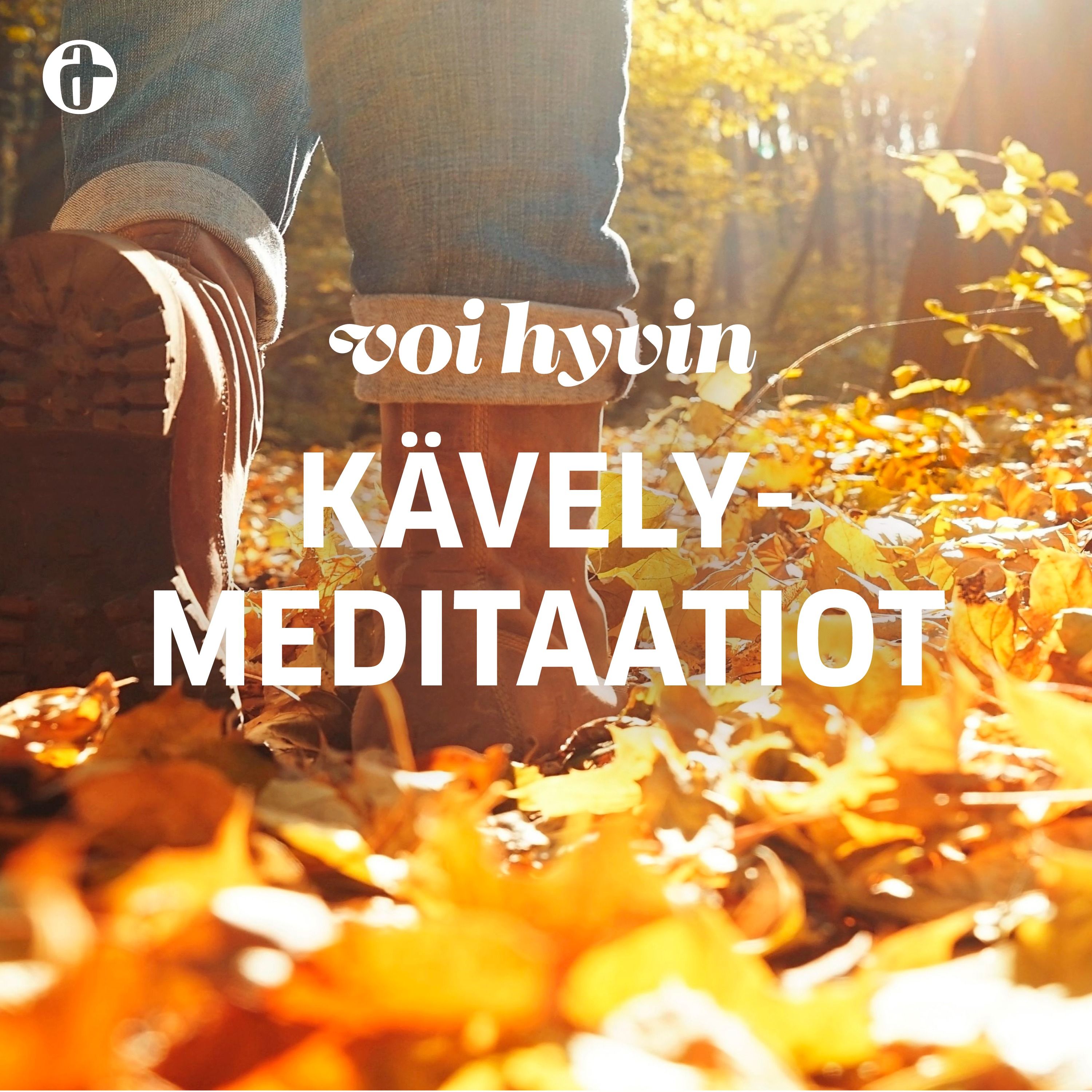 Kävelymeditaatiot: Metsäkävely
