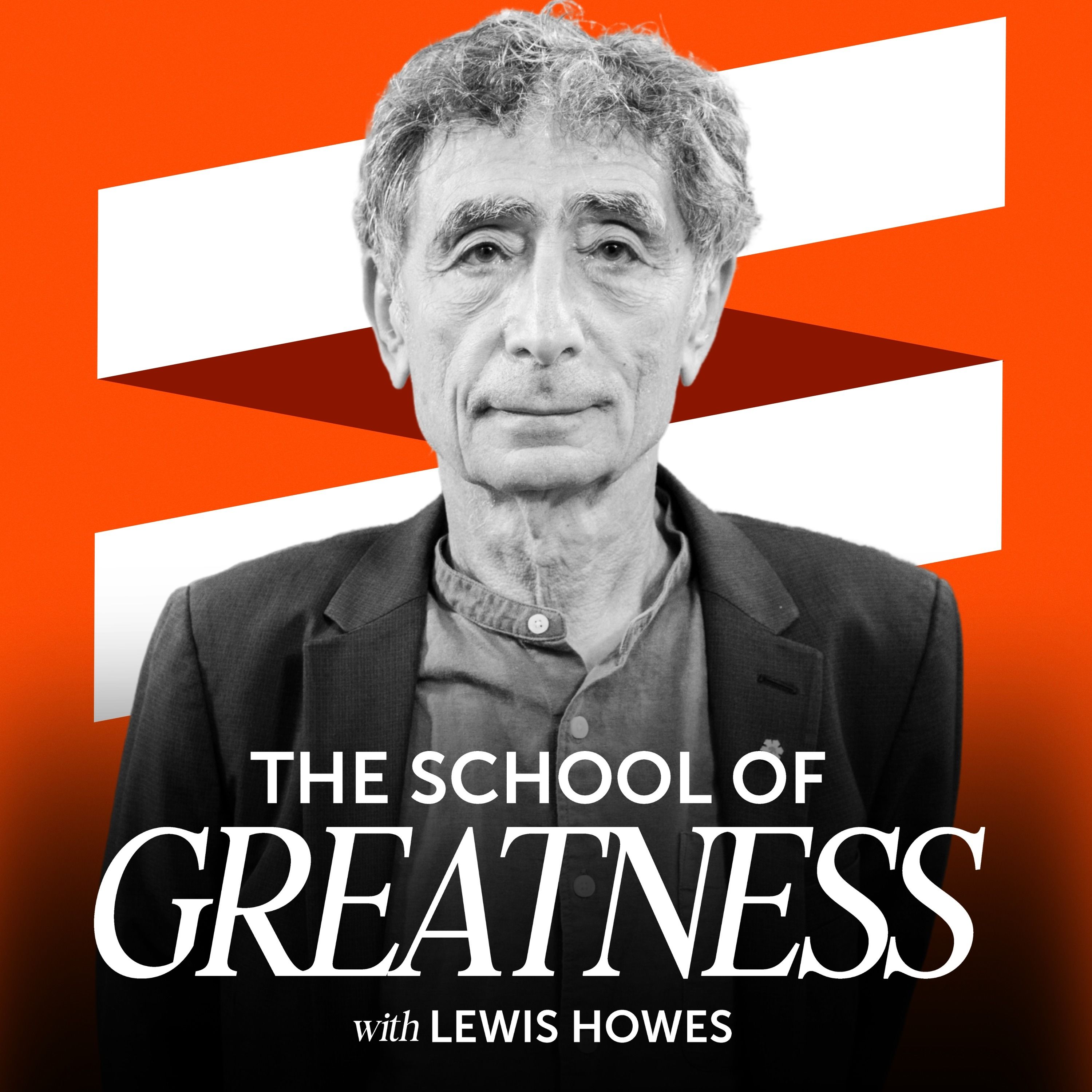 The Real Reason You Can't Stop Your Addiction | Dr. Gabor Maté artwork