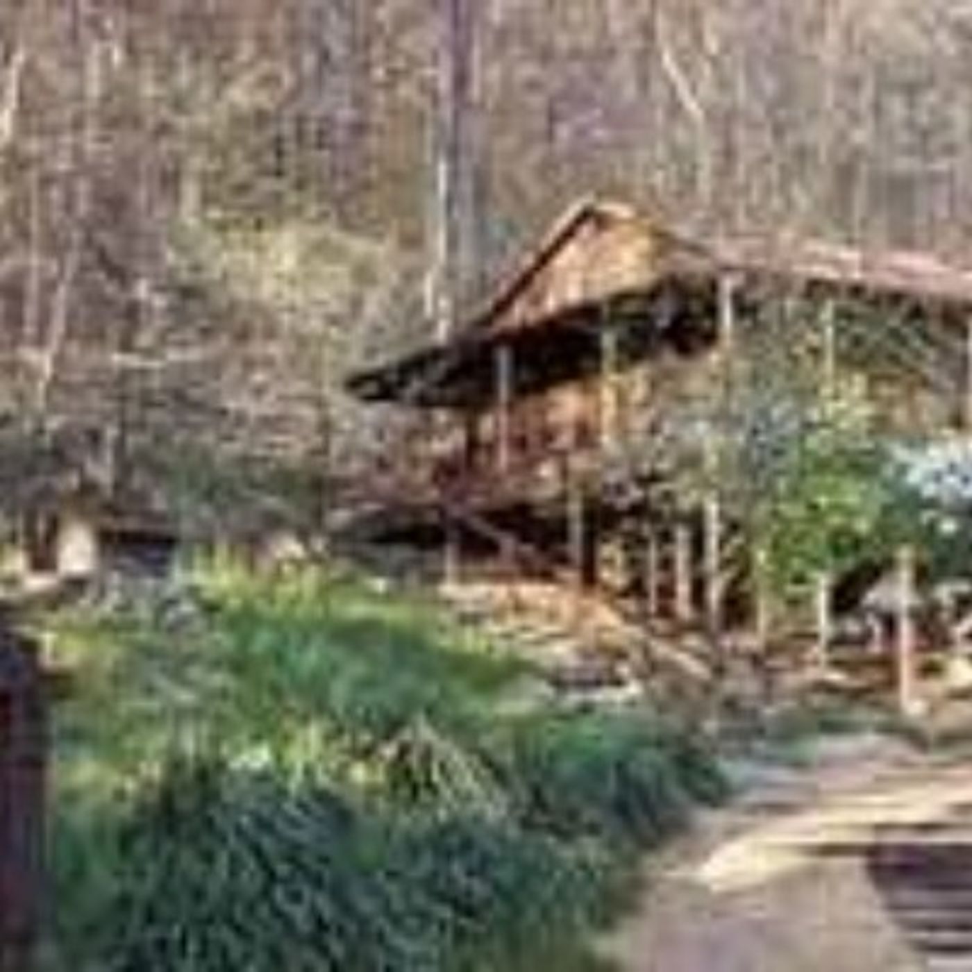 Morning 4: metta-vipassana overview